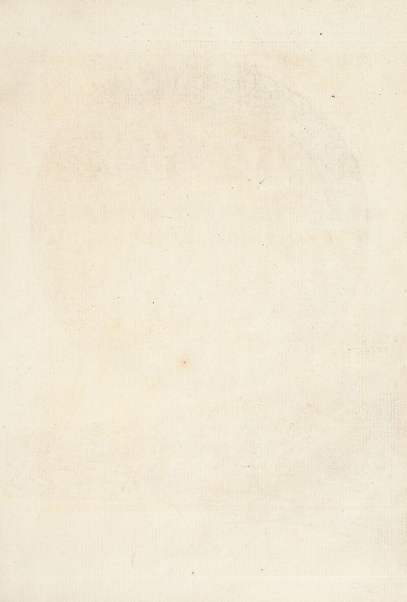 I') \' ■ '■ •f; ‘ 1 f' > V- * 'x ' • ' U''; ^ ^ V' ■’ ■ - X ^ ■, •O ' . ' ■ ' '/ —^r' ■ ' :• P'W . ti '5.- •* .a;- ■. S •'¥^_ k'' -» ■ .• 'i- ' ' • •.. • > \ ' :> V ^ ' ^ ■■ ^ mV-*; -' / ■ ' J ir .1^ • -i T- < ;. . : -vvk' ■ \ . • f* . •,, ./ ir ;