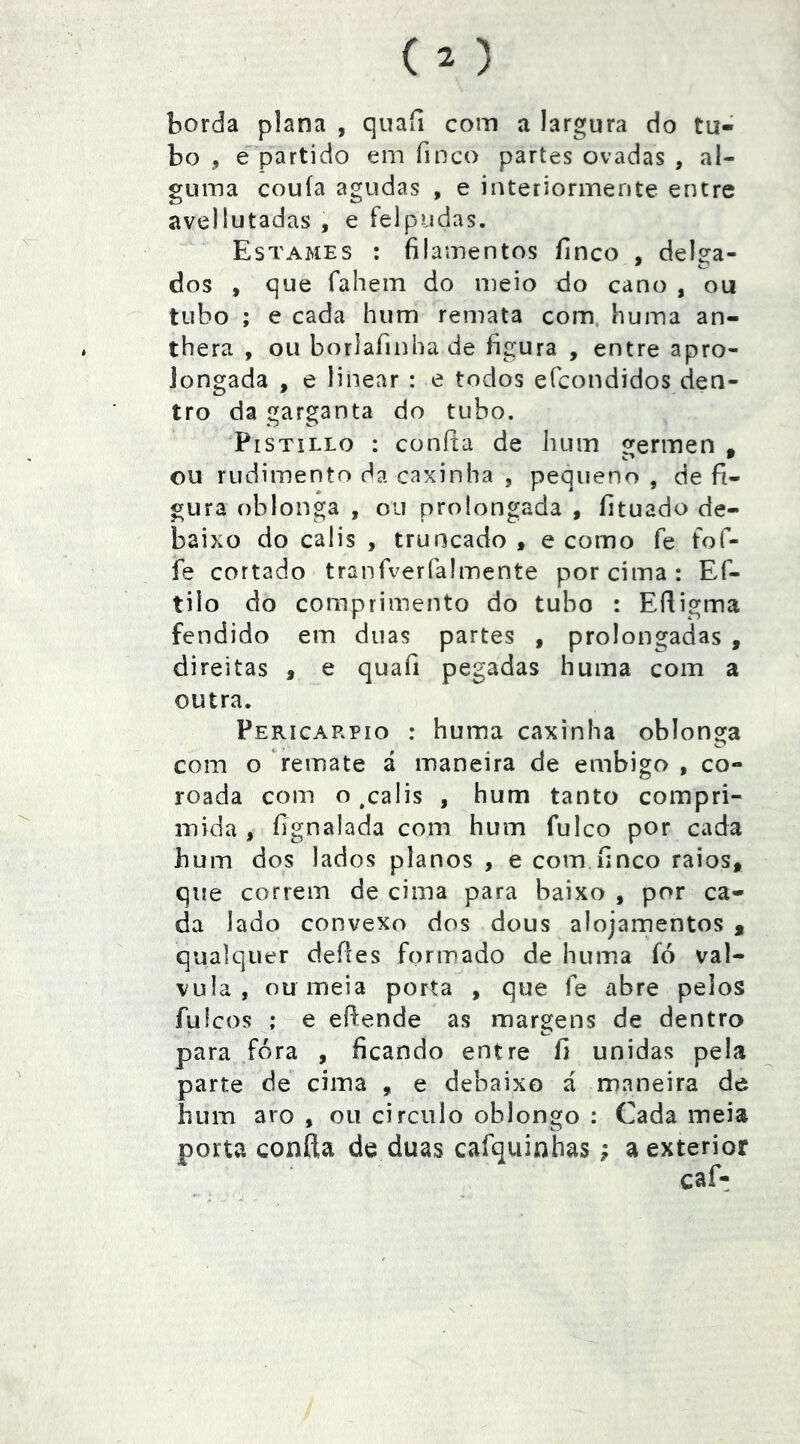 borda plana , quafí com a largura do tu- bo 5 é partido em finco partes ovadas , al- guma couía agudas , e interiormente entre avellutadas , e felpudas. Estames : filamentos finco , delga- dos , que fahem do meio do cano , ou tubo ; e cada hum remata com. huma an- thera , ou borlafinha de figura , entre apro- iongada , e linear : e todos efcondidos den- tro da garganta do tubo. PiSTiLLo : confia de hum 2:ermen , ou rudimento da caxinha , pequeno , de fi- gura oblonga , ou prolongada , fituado de- baixo do calis , truncado , e como fe tof- fe cortado tranfverfalmente por cima: Ef- tilo do comprimento do tubo : Efiigma fendido em duas partes , prolongadas , direitas , e quafi pegadas huma com a outra. Pericarpio : huma caxinha oblonga com o remate á maneira de embigo , co- roada com o ^calis , hum tanto compri- mida , fignalada com hum fulco por cada hum dos lados planos , e com finco raios, que correm de cima para baixo , por ca- da lado convexo dos dous alojamentos , qualquer defies formado de huma fó val- vula , ou meia porta , que fe abre pelos fulcos ; e efiende as margens de dentro para fora , ficando entre fi unidas pela parte de cima , e debaixo á maneira de hum aro , ou circulo oblongo : Cada meia porta confia de duas cafquinhas; a exterior