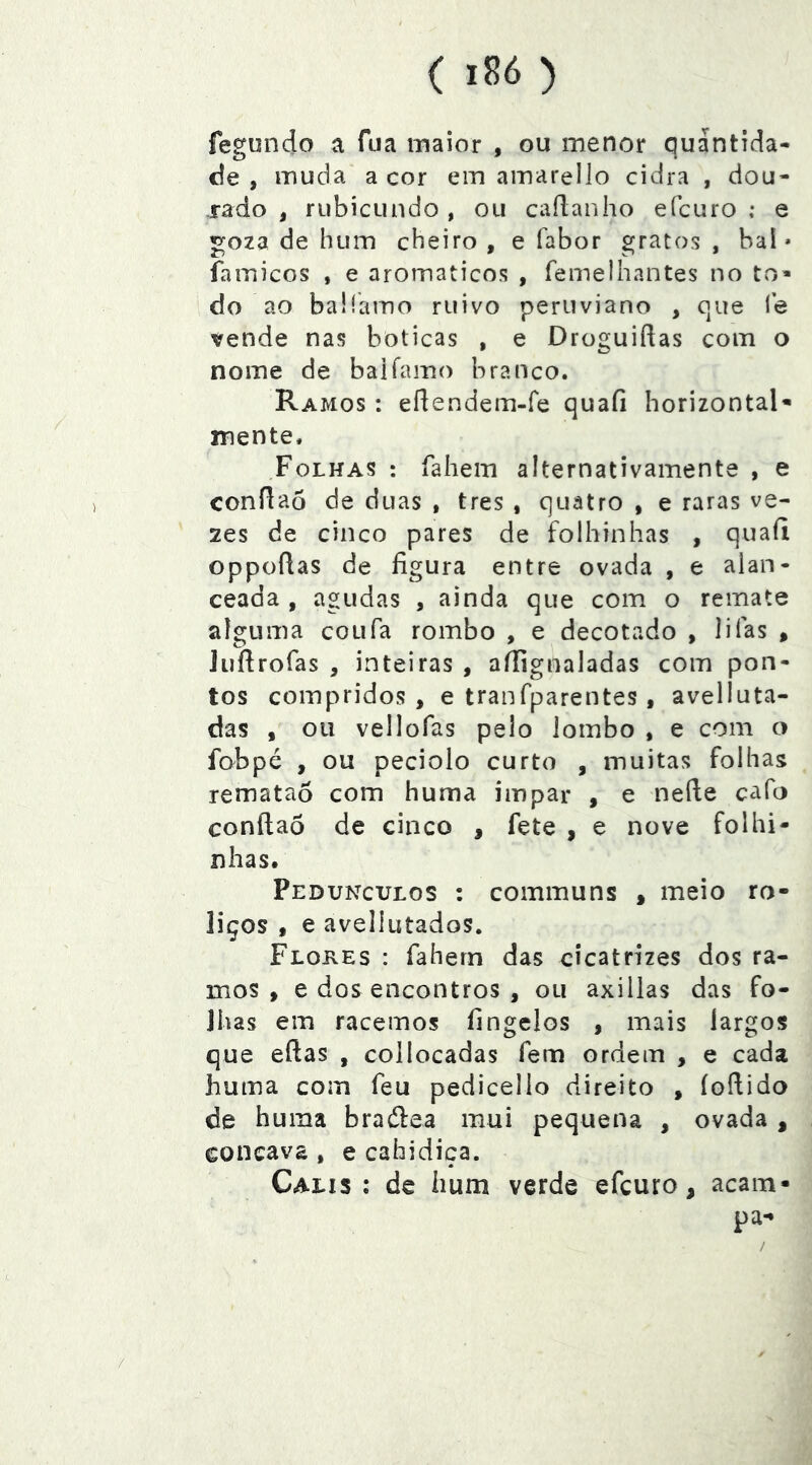 fegundo a fua maior , ou menor quantida- de , muda a cor em ainarello cidra , dou- rado , rubicundo, ou caílanho efcuro ; e goza de hum cheiro , e fabor gratos , bal * famicos , e aromáticos , femelhantes no to* do ao baiíamo ruivo peruviano , que l’e vende nas boticas , e Droguirtas com o nome de baiíamo branco. Ramos : eítendem-fe quafi horizontal* mente. Folhas : fahem alternativamente , e conílao de duas , tres , quatro , e raras ve- zes de cinco pares de folhinhas , quafi oppoftas de figura entre ovada , e alan- ceada , agudas , ainda que com o remate alguma coufa rombo , e decotado , lifas , Jiifirofas , inteiras , affignaladas com pon- tos compridos, e tranfparentes, avelluta- das , ou vellofas pelo lombo , e com o fobpé , ou peciolo curto , muitas folhas remataó com huma impar , e nefte cafo conílao de cinco , fete , e nove folhi- nhas. Pedúnculos : communs , meio ro- liços , e aveliutados. Flores : fahern das cicatrizes dos ra- mos , e dos encontros , ou axillas das fo- lhas em racemos fingelos , mais largos que eílas , collocadas fem ordem , e cada huma com feu pedicello direito , íoílido de huma bradlea mui pequena , ovada, côncava , e cahidiça. Calis : dc hum verde efcuro, acam- pa-» /