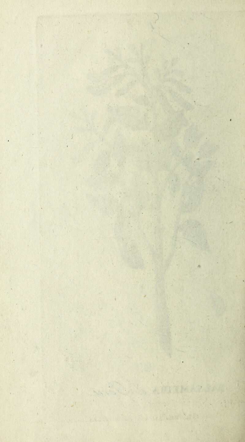 i í A t .1 I • 'í % / I . \ ' \ k 1 í' V'>