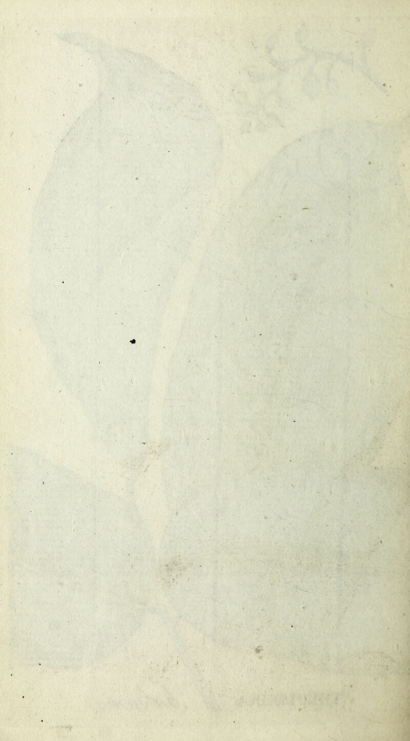 r - ff ) / ) \ \ \ k ^ i / I ll J ' 1 ') '.i .1 , A i