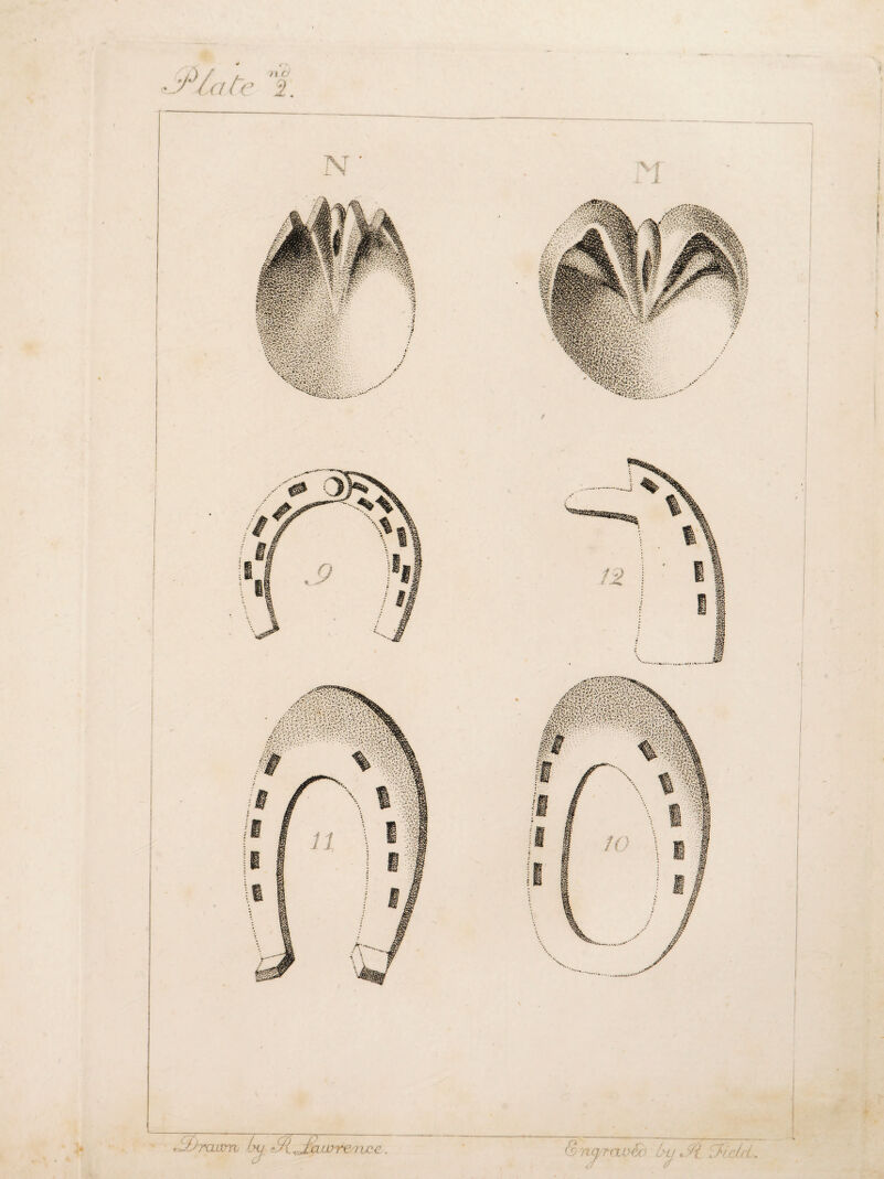 $ /«o' f? r Gs rui r n o c/: i'heli j I