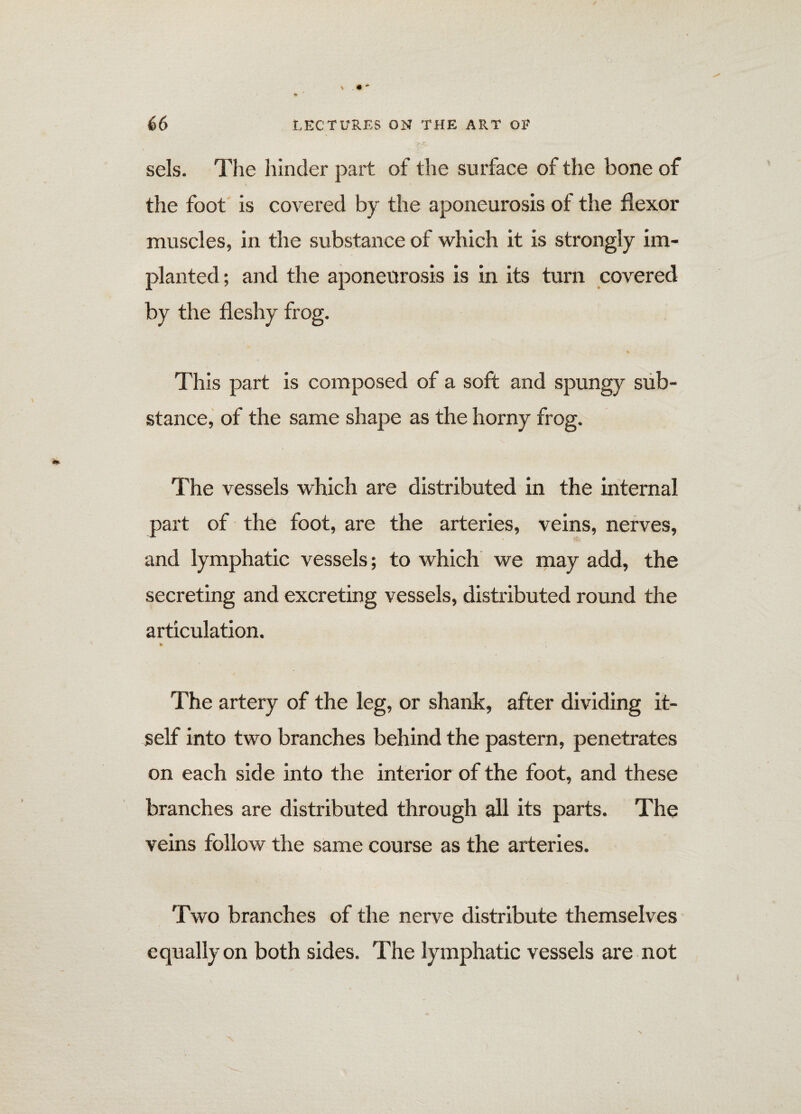 \ *  66 LECTURES ON THE ART OR sels. The hinder part of the surface of the bone of the foot is covered by the aponeurosis of the flexor muscles, in the substance of which it is strongly im¬ planted ; and the aponeurosis is in its turn covered by the fleshy frog. < ft This part is composed of a soft and spungy sub¬ stance, of the same shape as the horny frog. The vessels which are distributed in the internal part of the foot, are the arteries, veins, nerves, and lymphatic vessels; to which we may add, the secreting and excreting vessels, distributed round the articulation. te The artery of the leg, or shank, after dividing it¬ self into two branches behind the pastern, penetrates on each side into the interior of the foot, and these branches are distributed through all its parts. The veins follow the same course as the arteries. Two branches of the nerve distribute themselves equally on both sides. The lymphatic vessels are not \