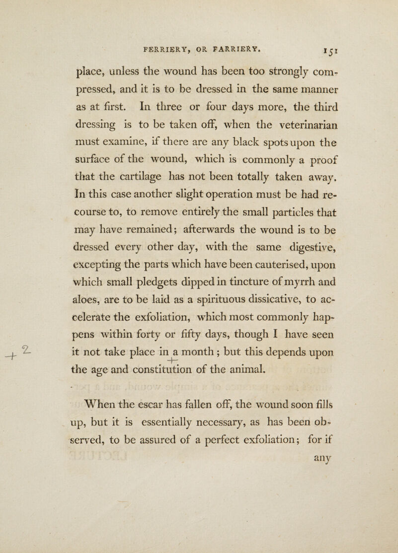 >5* place, unless the wound has been too strongly com¬ pressed, and it is to be dressed in the same manner as at first. In three or four days more, the third dressing is to be taken off, when the veterinarian must examine, if there are any black spots upon the surface of the wound, which is commonly a proof that the cartilage has not been totally taken away. In this case another slight operation must be had re¬ course to, to remove entirely the small particles that may have remained; afterwards the wound is to be dressed every other day, with the same digestive, excepting the parts which have been cauterised, upon which small pledgets dipped in tincture of myrrh and aloes, are to be laid as a spirituous dissicative, to ac¬ celerate the exfoliation, which most commonly hap¬ pens within forty or fifty days, though I have seen it not take place in a month; but this depends upon the age and constitution of the animal. When the escar has fallen off, the wound soon fills up, but it is essentially necessary, as has been ob¬ served, to be assured of a perfect exfoliation; for if