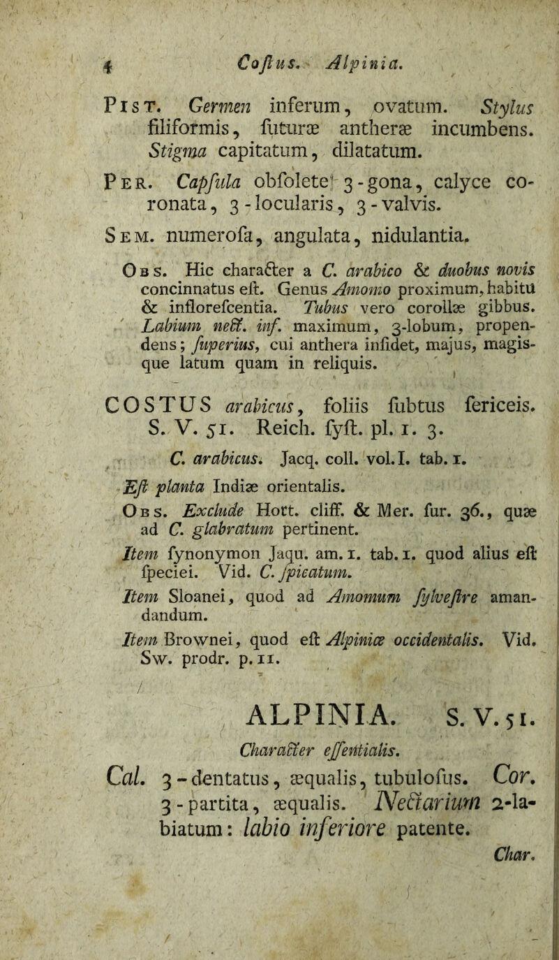 P i s t. Germen inferum, ovatum. Stylus filiformis, futurae antherae incumbens. Stigma capitatum, dilatatum. Per. Capfula obfolete' 3-gona, calyce co- ronata , 3 - locularis, 3 - valvis. Sem. numerofa, angulata, nidulantia. O b s. Hic chara&er a C. arabico & duobus novis concinnatus eft. Genus Amomo proximum, habitu & inflorefcentia. Tubus vero corollae gibbus. Labium neff. inf. maximum, 3-lobum, propen- dens ; fuperius, cui anthera infidet, majus, magis- que latum quam in reliquis. COS TUS arabiens, foliis fubtus fericeis. S. V. 51. Reich. fyft. pl. 1. 3. C. arabicus. Jacq. coli. vol. I. tab. 1. EJl planta Indiae orientalis. Obs. Exclude Hort. cliff. & IVI er. fur. 36., quae ad C. glabratum pertinent. Item fynonymon Jaqu. am. 1. tab. 1. quod alius elt fpeciei. Vid. C. jpieatum. Item Sloanei, quod ad Amomum fylveftre aman- dandum. Item Brownei, quod eft Alpinice occidentalis. Vid. Sw. prodr. p. 11. . ■/.; / yr ALPINI A. S. V. 51. Charaffer ejferitialis. Cal. 3-dentatus, ecqualis, tubulofus. Cor. 3-partita, aequalis. NeEtariUM 2-la- biatum: labio inferiore patente. Char.