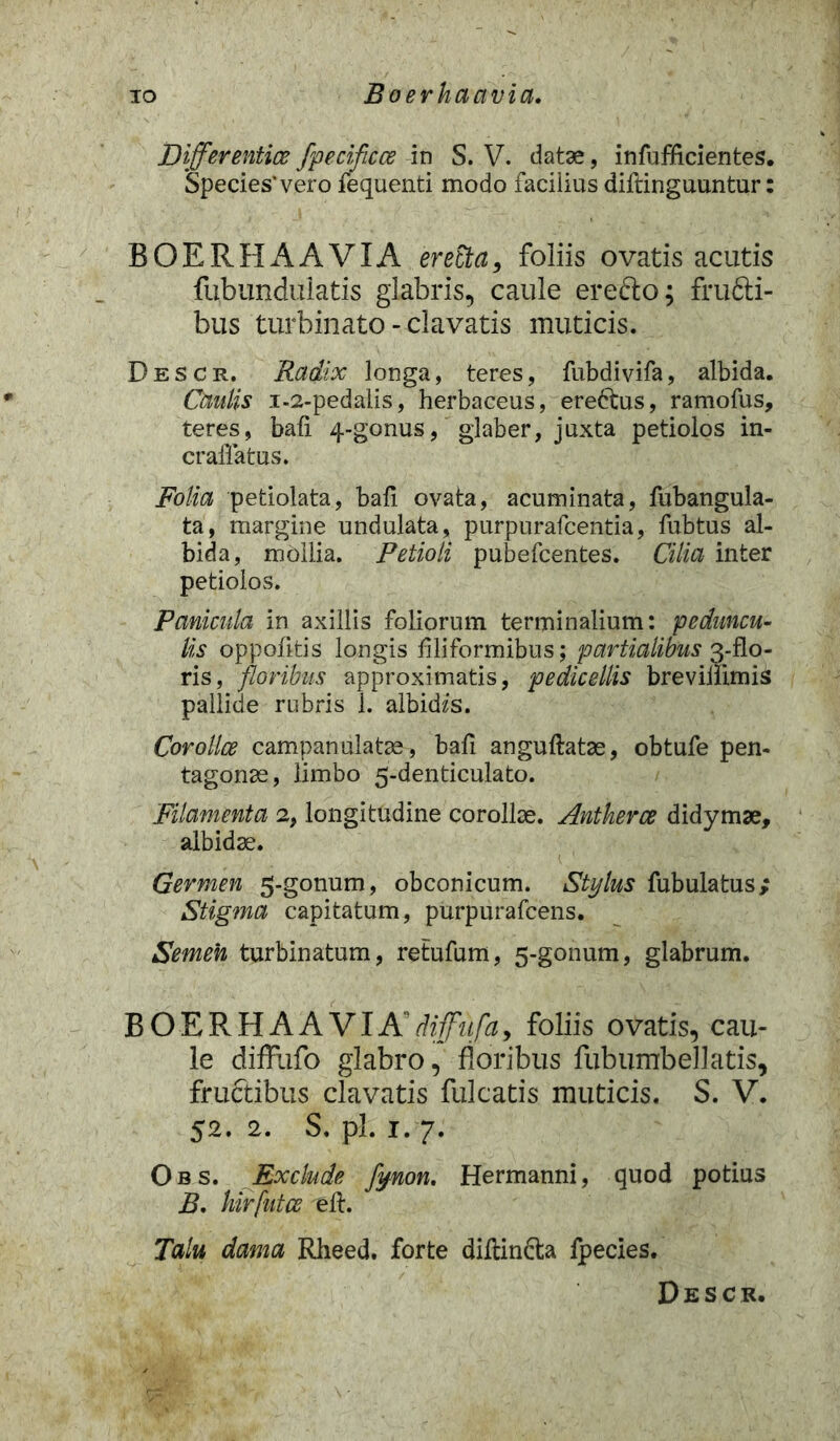 Differentiae fpecificce in S. V. datae, infufficientes. Species’vero fequenti modo facilius diftinguuntur: BOERHAAVIA eretta, foliis ovatis acutis fubunduiatis glabris, caule eredo; frudi- bus turbinato - clavatis muticis. Descr. Radix longa, teres, fubdivifa, albida. Caulis 1-2-pedalis, herbaceus, eredus, ramofus, teres, bafi 4-gonus, glaber, juxta petiolos in- craffatus. Folia petiolata, bafi ovata, acuminata, fubangula- ta, margine undulata, purpurafcentia, fubtus al- bida, mollia. Petioli pubefcentes. Cilia inter petiolos. Panicula in axillis foliorum terminalium: peduncu- lis oppofitis longis filiformibus; partialibus 3-flo- ris, floribus approximatis, pedicellis breviilimis pallide rubris 1. albidas. Corollce campanulatae, bafi anguftatae, obtufe pen- tagonae, limbo 5-denticulato. Filamenta 2, longitudine corollae. Antkerce didymae, albidae. Germen 5-gonum, obconicum. Stylus Tubulatus; Stigma capitatum, purpurafcens. Semen turbinatum, retufum, 5-gonum, glabrum. BOERHAAVIA di ffu fa, foliis ovatis, cau- le diffufo glabro, floribus fubumbellatis, fructibus clavatis fulcatis muticis. S. V. 52.2. S. pl.1.7- Obs. Exclude fynon. Hermanni, quod potius B. kirfutce e 11. Talu dama Rheed. forte dillinda fpecies. Descr.