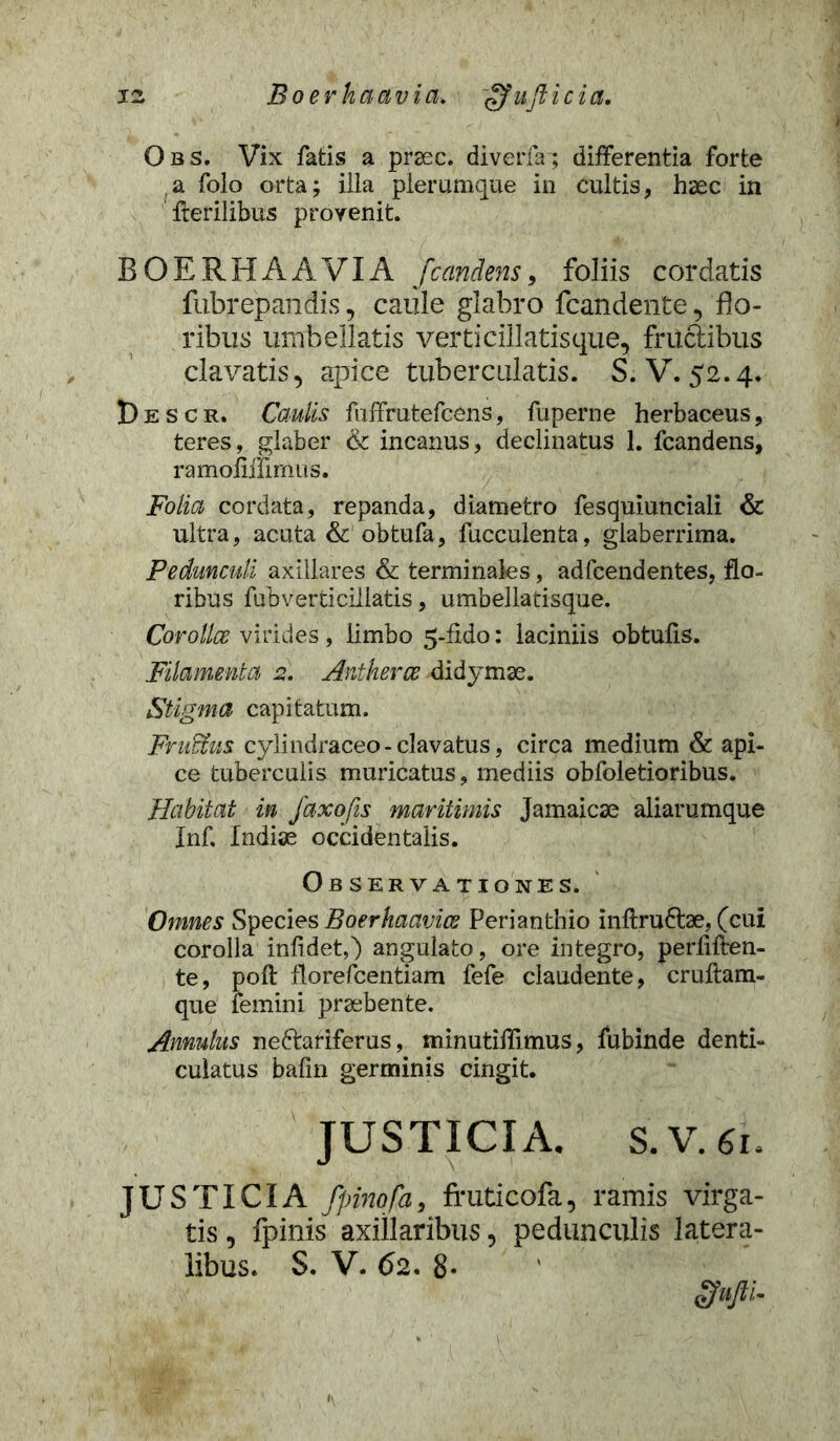 Obs. Vix fatis a prsec. diverfa; differentia forte a folo orta; illa plerumque in cultis, haec in Herilibus provenit. BOERHAAVIA [candens, foliis cordatis fubrepandis, caule glabro fcandente, fo- ribus umbellatis verticillatisque, fructibus clavatis, apice tuberculatis. S. V. 52.4. D e s c r. Caulis fuffrutefcens, fuperne herbaceus, teres, glaber & incanus, declinatus 1. fcandens, ramoHiiimus. Folia cordata, repanda, diametro fesquiunciali & ultra, acuta & obtufa, fucculenta, glaberrima. Pedunculi axillares & terminales, adfcendentes, flo- ribus fubverticillatis, umbellatisque. Corollce virides, limbo 5-Hdo: laciniis obtulis. Filamenta 2. Antherce didymse. Stigma capitatum. Fniffus cylindraceo-clavatus, circa medium & api- ce tuberculis muricatus, mediis obfoletioribus. Habitat in faxofis maritimis Jamaicse aliarumque Inf. Indiae occidentalis. Observationes. Omnes Species Boerhaavice Perianthio inftru&ae, (cui corolla inlidet,) angulato, ore integro, perliften- te, poft florefcentiam fefe claudente, cruftam- que femini praebente. Annutus neftariferus, minutiffimus, fubinde denti- culatus bafin germinis cingit. JUSTICIA. s.V.61, JUSTICIA fpinofa, fruticofa, ramis virga- tis , fpinis axillaribus, pedunculis latera- libus. S. V. 62. 8-