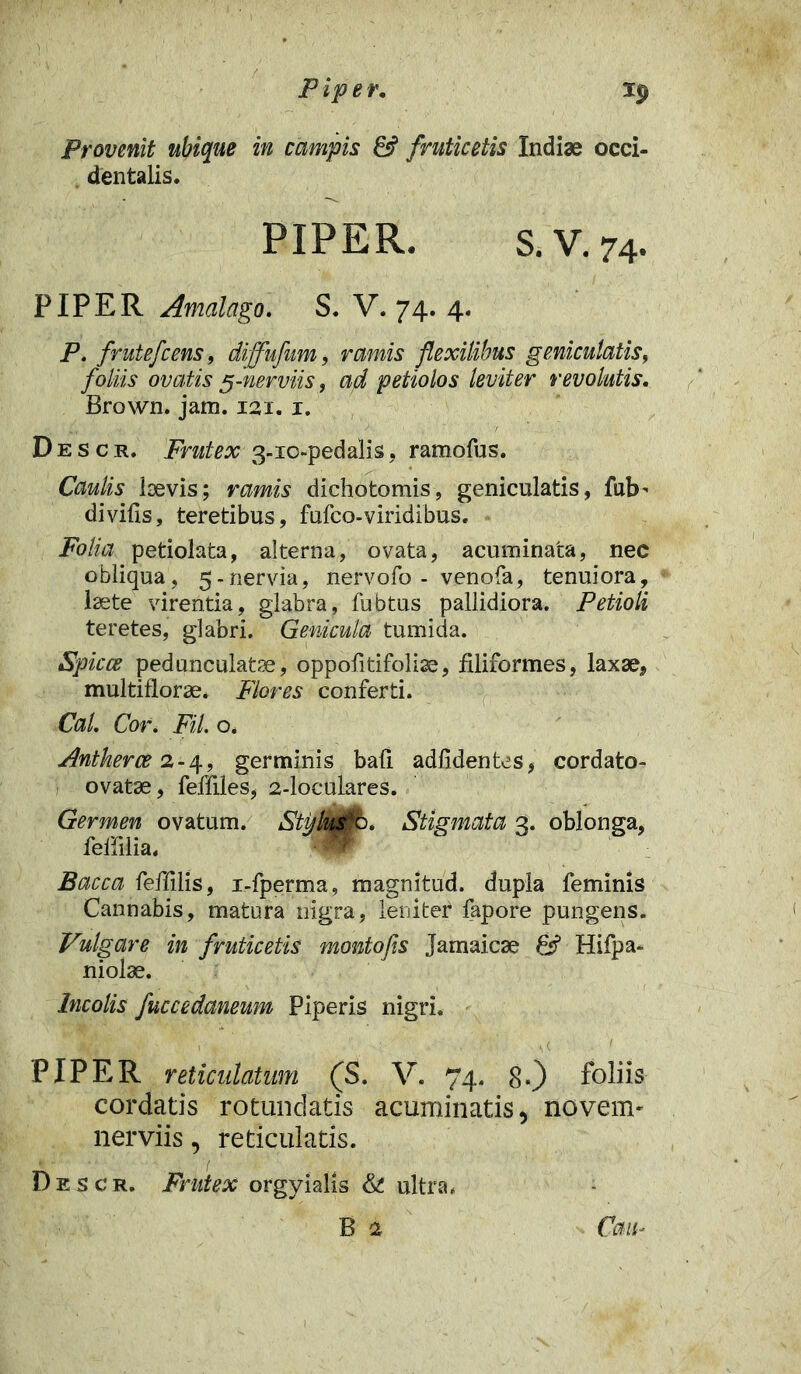 Provenit ubique in campis & fruticetis Indiae occi- dentalis. PIPER. S.V.74. PIPER Amalago. S. V. 74. 4. P. frutefcens9 diffufum, ramis flexilibus geniculatis, foliis ovatis 5-nerviis, ad petiolos leviter revolutis. Brown. jam. 121. 1. Descr. Frutex 3-10-pedalis, ramofus. Caulis laevis; ramis dichotomis, geniculatis, fub di vilis, teretibus, fufco-viridibus. Folia petiolata, alterna, ovata, acuminata, nec obliqua, 5-nervia, nervofo - venofa, tenuiora, laete virentia, glabra, fubtus pallidiora. Petioli teretes, glabri. Genicula tumida. Spicee pedunculatse, oppofitifolise, filiformes, laxae, multiflorae. Flores conferti. Cal. Cor. FU. o, Antherce 2-4, germinis bafi adfidentes, cordato- ovatae, feffiles, 2-loculares. Germen ovatum. Styktfb. Stigmata 3. oblonga, felfilia. * Bacca feffilis, i-fperma, magnitud. dupla feminis Cannabis, matura nigra, leniter fapore pungens. Vulgare in fruticetis montofis Jamaicse & Hifpa- niolae. Incolis fuccedaneum Piperis nigri. PIPER reticulatum (S. V. 74. 8«) foliis cordatis rotundatis acuminatis, noveim nerviis, reticulatis. Descr. Frutex orgyialis & ultra. B 2 Caih