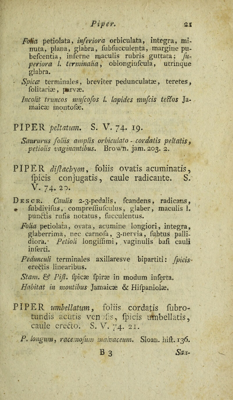 F(Ma petiolata, inferiora orbiculata, integra, mi- nuta, plana, glabra, fubfucculenta, margine pu- befcentia, inferne maculis rubris guttata; fu- perior a 1. terminalia, oblongiufcula, utrinque glabra. * Spicee terminales, breviter pedunculatae, teretes, folitariae, parvae. Incolit truncos mufeofos /. lapides mufeis t edi os Ja- maiese montofae. PIPER 'peltatum. S. V. 74. 19. Saururus foliis amplis orbiculato - cordatis peltatis, .petiolis vaginantibus. Brown. jam.203. 2. PIPER Jijlqchyon, foliis ovatis acuminatis, fpicis conjugatis, caule radicante. S. V. 74. 20. Descr. Caulis 2-3-pedalis, fcandens, radicatis, » fubdivifus, compreffiufculus, glaber, maculis L pundtis rufis notatus, fucculentus. Folia petiolata, ovata, acumine longiori, integra, glaberrima, nec carnofa, 3-nervia, fubtus palli- diora.1 Petioli longiffimi, vaginulis bafi cauli inferti. Pedunculi terminales axillaresve bipartiti: fpicis' erettis linearibus. Stam. & Pifl. fpiese fpirae in modum inferta. Habitat in montibus Jamaicse & Hifpaniolse, PIPER umbellatum, foliis cordatis fubro- tundis acutis ven dis, fpicis umbellatis, caule eredto. S. V. 74. 21. P, longum, racemofuni :malvaceum. Sloan. hili. 136. B 3 Sm-
