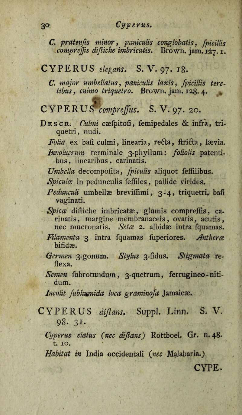 Cyperus. C. pratenfis minor, paniculis conglobatis, fpicillis compr effis diftiche imbricatis. Brown. jam. 127.1. CYPERUS elegans. S. V. 97. 18. C. major umbellatus, paniculis laxis, fpicillis tere- tibus, culmo triquetro, Brown. jam. 128. 4. * CYPERUS 'comprejfus. S. V. 97. 20. Descr. Culmi caefpitofi, femipedales & infra, tri- quetri, nudi. Folia ex bafi culmi, linearia, refta, ftri&a, laevia. Involucrum terminale 3-phyllum: foliolis patenti- bus, linearibus, carinatis. Umbella decompofita, fpiculis aliquot fefiilibus. Spicules in pedunculis feffiles, pallide virides. Pedunculi umbellae brevifiimi, 3-4, triquetri, bafi vaginati. Spices diftiche imbricatae, glumis compreftis, ca- rinatis , margine membranaceis, ovatis, acutis , nec mucronatis. Setce 2. albidae intra fquamas. Filamenta 3 intra fquamas fuperiores. Antherce bifidae. Germen 3-gonum. Stylus 3-fidus. Stigmata re- flexa. Semen fubrotundum, 3-quetrum, ferrugineo - niti- dum. Incolit fublnmida loca graminofa Jamaicae. CYPERUS difians. Suppi. Linn. S. V. 98. 31. Cyperus elatus (nec dijlans) Rottboel. Gr. n. 48. 1.10. Habitat in India occidentali (nec M^labaria.) CYPE*