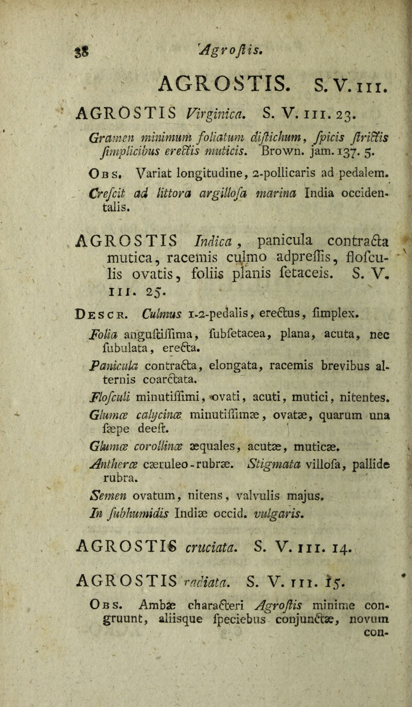 AGROSTIS. S. V. in. AGROSTIS Virginica. S. V. 111.23. Gramen minimum foliatum difichum, Jpicis Jtriffis fmp licibus er effis muticis. Brown. jam. 137. 5. Obs. Variat longitudine, 2-pollicaris ad pedalem. Crefcit ad littora argillofa marina India occiden- talis. AGROSTIS Indica, panicula contra&a mutica, racemis culmo adpreffis, flofcu- lis ovatis, foliis planis fetaceis. S. V* iii. 25. Descr. Culmus 1-2-pedalis, ere&us, fimplex. Folia angultillima, fubfetacea, plana, acuta, nec fubulata, ereCta. Panicula contraCta, elongata, racemis brevibus al- ternis coar&ata. Flofculi minutiffimi, «ovati, acuti, mutici, nitentes. Glumce calycince minutiffimae, ovatae, quarum una faepe deeft. Gkimce corollince aequales, acutae, muticae. Antkerce caeruleo - rubrae. Stigmata villofa, pallide rubra. Semen ovatum, nitens, valvulis majus. In fubhumidis Indiae occid. vulgaris. AGROSTIS cruciata. S. V. iii. 14. AGROSTIS radiata. S. V. tii. Is. Obs. Ambae characteri Agroftis minime con- gruunt, aliisque fpeciebus conjunCtae, novutn con-