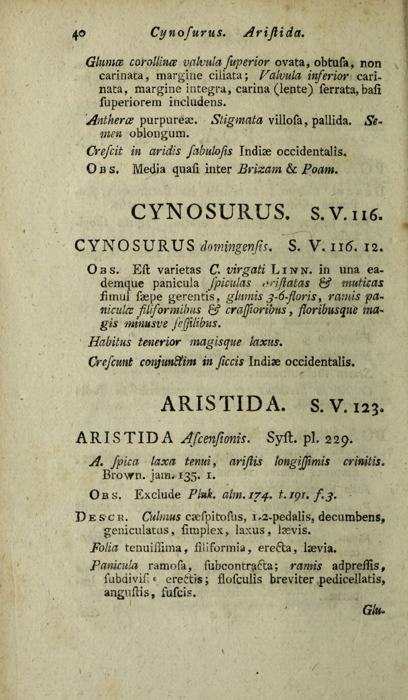 4° Cynofurus. Ariftida. Glumae corollinae valvula fuperior ovata, obtufa, non carinata, margine ciliata; Valvula inferior cari- nata, margine integra, carina (lente) ferrata, bali fuperiorem includens. Antherce purpureae. Stigmata villofa, pallida. Se- men oblongum. Crefcit in aridis fabulofis Indiae occidentalis, O b s, Media quali inter Brizam & Poam. CYNOSURUS. s.V.u6. CYNOSURUS domingenfis. S. V, 116, 12. Oas. Eli varietas C. virgati Linn. in una ea- demque panicula fpiculas inflatas & muticas firnul faepe gerentis, glumis 3-6-floris, ramis pa- niculae filiformibus 8f crajfioribtis, floribus qne ma- gis minusve fejflibus. Habitus tenerior magisque taxus. Crefcunt conjmfltim in ficcis Indiae occidentalis. ARISTIDA. s. V. 123. ARISTIDA Afcenfionis. Syfl. pl. 229. A. fpica laxa tenui, arijlis tongijjimis crinitis- Brown. jam. 135. 1. O b s. Exclude Pluk. atm. 174. t. /p/. /. 3. Descr. Culmus caefpitofus, 1.2-pedalis, decumbens, geniculatus, litnpiex, laxus, laevis. Folia tenuiffim^, filiformia, erefta, laevia. Panicula ramofa, fubcontrafta; ramis adpreflis, fubdivif v erettis; flofculis breviter pedicellatis, anguflis, fufeis. Glu»
