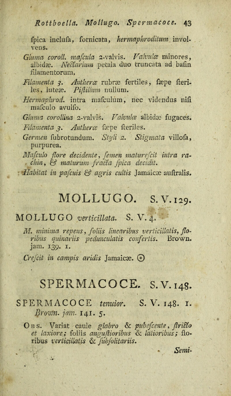 fpica inclufa, fornicata, hermaphroditum invol- vens. Gluma corolL mafcula 2-valvis. Valvulce minores, albidae. Nectarum petala duo truncata ad bafin filamentorum. Filamenta 3. Antkerce rubrae fertiles, faepe Heri- les, luteae. Piflillum nullum. Hermaphrod. intra mafculum, nec videndus nili mafculo avulfo. Gluma corollim 2-valvis. Valvulce albidae fugaces. Filamenta j. Antherce faepe Heriles. Germen fubrotundum. Styli 2, Stigmata villofa, purpurea. Mafculo flore decidente, femen maturefcit intra ra- chin, & maturum fracta fpica decidit. 'Habitat in pafcuis & agris cultis Jamaicae auHralis. MOLLUGO. S.V.129. MOLLUGO verticillata. S. V. 4. M. minima repens, foliis linearibus verticillatis, flo- ribus quinarii$ pedunculatis confertis. Brown. jam. 139. 1. Crefcit in campis aridis Jamaicae. ® SPERMACOCE. s.V.i4g. SPERMACOCE tenuior. S. V. 148. 1. Brov&n.jam. 141. 5. Obs. Variat caule glabro & pubefcente, flritto et laxiore; foliis anguflioribus <k latioribus; flo- ribus verticillatis & fubfolitariis. Semi-