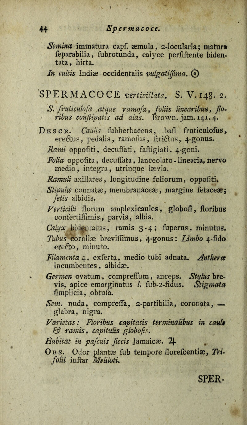 Semina immatura capf. aemula . 2-locularia; matura feparabilia, fubrotunda, calyce perfiftente biden- tata, hirta. In cultis Indiae occidentalis vulgatijfma. © SPERMACOCE verticillata. S. V. 148. 2. S.fruticulofa atque ramofa, foliis linearibus, flo- ribus conjiipatis ad alas. Brown. jam. 141.4. Descr. Caulis fubherbaccus, bafi fruticulofus, erectus, pedalis, ramofus, ftri&us, 4-gonus. Rami oppofiti, decuffati, faftigiati, 4-goni. Folia oppofita, decuflata, lanceolato - linearia, nervo medio, integra, utrinque laevia. Ramuli axillares, longitudine foliorum, oppoflti. Stipulce connatae, membranaceae, margine fetaceae; fetis albidis. Verticilli florum amplexicaules, globofi, floribus confertiflimis., parvis, albis. Calyx bid^ntatus, ramis 3-4; fuperus, minutus. Ilibus corollae brevifflmus, 4-gonus: Limbo 4-fido ere6to, minuto. Filamenta 4, exferta, medio tubi adnata. Antkerce incumbentes, albidae. Germen ovatum, compreffum, anceps. Stylus bre- vis, apice emarginatus /. fub-2-fidus. Stigmata flmplicia, obtufa. Sem. nuda, comprefla, 2-partibilia, coronata, — glabra, nigra. Varietas: Floribus capitatis terminalibus in cauli & ramis, capitulis globofs. Habitat in pafcuis fecis Jamaicae. 2J. Qbs. Odor plantae fub tempore florefeentiae, Tri- folii inftar Meliloti. SPER-