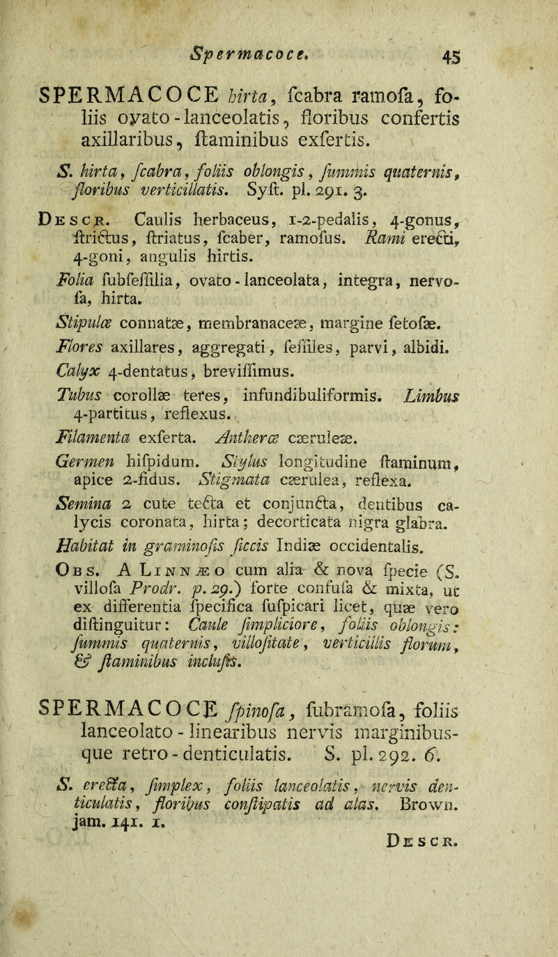 SPERMACOCE hirta, fcabra ramofa, fo- liis oyato - lanceolatis, floribus confertis axillaribus, flaminibus exfertis. S. hirta 9 fcabra, foliis oblongis, fummis quaternis, floribus verticillatis. Sylt. pl. 291. 3. Desck. Caulis herbaceus, 1-2-pedalis, 4-gonus, Aridius, ffriatus, fcaber, ramofus. Rami eredti, 4-goni, angulis hirtis. Folia fubfeffdia, ovato - lanceolata, integra, nervo- fa, hirta. Stipulos connatae, membranaceae, margine fetofae. Flores axillares, aggregati, fefiiles, parvi, albidi. Calyx 4-dentatus, breviffimus. Tubus corollae teres, infundibuliformis. Limbus 4-partitus, reflexus. Filamenta exferta. Antkercs caeruleae. Germen hifpidum. Stylus longitudine flaminum» apice 2-fidus. Stigmata caeruiea, reflexa. Semina 2 cute tedta et conjundta, dentibus ca- lycis coronata, hirta; decorticata nigra glabra. Habitat in graminofis ficcis Indiae occidentalis. Obs. ALinnjEO cum alia- & nova fpecie (S. villofa Prodr. p.api) forte confufa & mixta, ut ex differentia fpecifica fufpicari licet, quae vero diftinguitur: Caule fimpliciore, foliis oblongis: fummis quaternis, villojitate, verticillis florum, & flaminibus inclufls. SPERMACOCE fpinofa, fubramofa, foliis lanceolato - linearibus nervis marginibus- que retro - denticulatis. S. pl. 292. 6. S. ereBia, fimplex, foliis lanceolatis, nervis den- ticulatis , floribus conflipatis ad alas, Brown. jam. 141. 1. Descr.