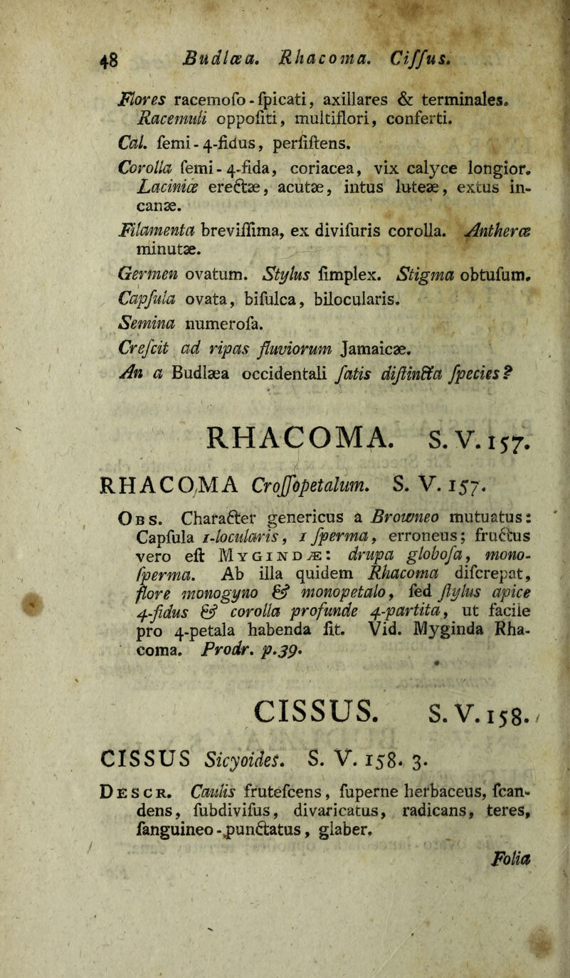 Flores racemofo - fpicati, axillares & terminales» Racemuli oppofiti, multiflori, conferti. CaL femi - 4-fidus, perfiftens. Corolla femi-4-fida, coriacea, vix calyce longior. Lacinia eredbe, acutae, intus luteae, extus in- canae. Filamenta breviffima, ex divifuris corolla. Antherce minutae. Germen ovatum. Stylus fimplex. Stigma obtufum. Capfula ovata, bifulca, bilocularis. Semina numerofa. Crefcit ad ripas fluviorum Jamaicae. An a Budlaea occidentali fatis diftinffa fpecies ? RHACOMA. s.v.157. • ' ' ■ ' • i ■ ■ RHACOMA CroJJopetalum. S. V. 157. Obs. Character genericus a Browneo mutuatus: Capfula i-locularis, 1 fperma, erroneus; fru&us vero eft Iygind^: drupa globofa, mono- fperma. Ab illa quidem Rhacoma difcrepat, flore monogyno & monopetalo, fed ftylus apice 4-fidus & corolla profunde 4.-partita, ut facile pro 4-petala habenda lit. Vid. Myginda Rha- coma. Prodr. p.39. CISSUS. S.V.158. CIS SUS Sicyoides. S. V. 158. 3. Descr. Caulis frutefcens, fuperne herbaceus, fcan- dens, fubdivifus, divaricatus, radicans, teres, fanguineo -jpun&atus, glaber. Folia