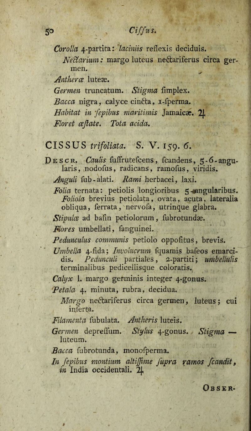 5° Ciffus. Corolla 4-partita: laciniis reflexis deciduis. Nettarium: margo luteus nedtariferus circa ger- men. S Antherce lutese. Germen truncatum. Stigma limplex. Bacca nigra, calyce cinfta, i-fperma. Habitat in fepibus maritimis Jamaicae. 2|, Floret cejlate. Tota acida. CIS SUS trifoliata. S. V. 159. 6. Descr. Caulis fuffrutefcens, fcandens, 5 - 6 - angu- laris, nodofus, radicans, ramofus, viridis* Anguli fub-alati. Rami herbacei, laxi. Folia ternata: petiolis longioribus 5 ^angularibus. Foliola brevius petiolata, ovata, acuta, lateralia obliqua, ferrata, nervofa, utrinque glabra. Stipules ad bafin petiolorum, fubrotundse. Flores umbellati, fanguinei. Pedunculus communis petiolo oppolitus, brevis. Umbella 4-fida; Involucrum fquamis bafeos emarci- dis. Pedunculi partiales, 2-partiti; umbellulis terminalibus pedicellisque coloratis. Calyx 1. margo germinis integer 4-gonus. Petala 4. minuta, rubra, decidua. Margo nedtariferus circa germen, luteus; cui inferta. Filamenta fubulata. Antheris luteis. Germen depreffum. Stylus 4-gonus. Stigma — luteum. Bacca fabrotunda, monolperma. In fepibus montium altijfime fupra ramos fcandit, in India occidentali. 2|, 0 B S E R-