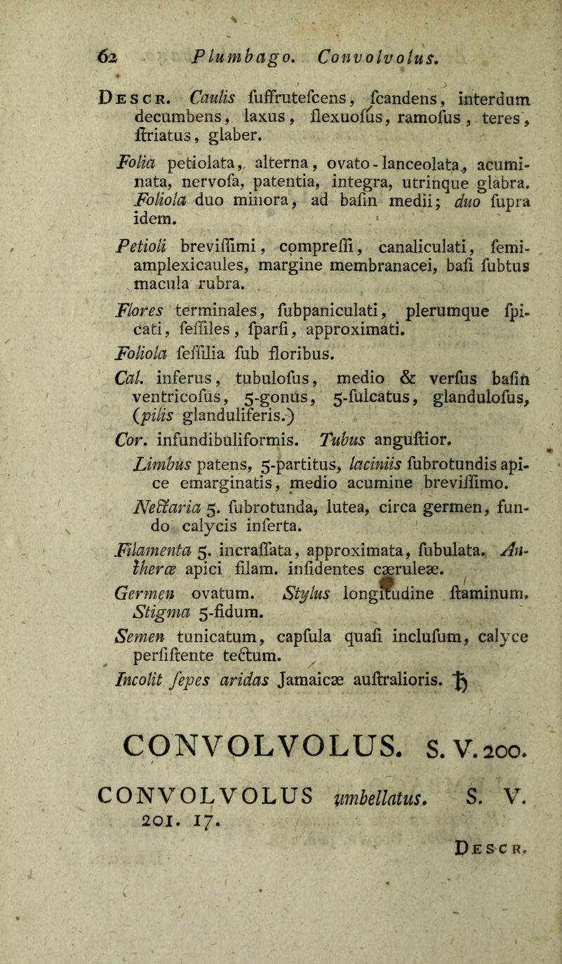 Descr, Caulis fuffrutefcens, fcandens, interdum decumbens, laxus, flexuofus, ramofus , teres, ftriatus, glaber. Folia petiolata, alterna, ovato-lanceolata., acumi- nata, nervofa, patentia, integra, utrinque glabra. Foliola duo minora, ad bafin medii; duo fupra idem. Petioli breviffimi, compreffi, canaliculati, femi- amplexicaules, margine membranacei, bafi fubtus macula rubra. Flores terminales, fubpaniculati, plerumque fpi- cati, feffiles , fparli, approximati. Foliola feffilia fub floribus. Cal. inferus, tubulofus, medio & verfus bafifi ventricofus, 5-gonus, 5-fulcatus, glandulofus, (pilis glanduliferis.) Cor. infundibuliformis. Tubus anguflior. Limbus patens, 5-partitus, laciniis fubrotundis api- ce emarginatis, medio acumine brevifiimo. Neffiaria 5. fubrotunda, lutea, circa germen, fun- do calycis inferta. Filamenta 5. incraffata, approximata, fubulata. An- Iherce apici filam. infidentes caeruleae. Germen ovatum. Stylus longSudine flaminum. Stigma 5-fidum. Semen tunicatum, capfula quali inclufum, calyce perfiflente teftum. Incolit fepes aridas Jamaicae auflralioris. CONVOLVOLUS. S.V.soo. CONVOLVOLUS umbellatus. S. V. 201. 17. De s ci?.