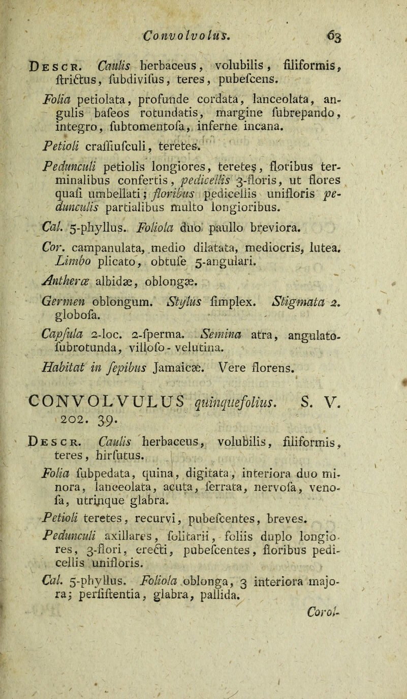 D e s c r. Caulis herbaceus, volubilis , filiformis, ftridtus, fubdivifus, teres, pubefcens. Folia petiolata, profunde cordata, lanceolata, an- gulis bafeos rotundatis, margine fubrepando, integro, fubtomentofa, inferne incana. Petioli craffiufculi, teretes.' Pedunculi petiolis longiores, terete$, floribus ter- minalibus confertis, pedicellis 3-floris, ut flores quali umbeUatij floridus pedicellis unifloris pe- dunculis partialibus multo longioribus. Cal. 5-phyllus. Foliola duo paullo breviora. Cor. campanulata, medio dilatata, mediocris, lutea. Limbo plicato, obtufe 5-anguiari. Antherce albidae, oblongae. Germen oblongum. Stylus fimplex. Stigmata 2. globofa. Capfula 2-loc. 2-fperma. Semina atra, angulato- fubrotunda, villofo - velutina. Habitat in fepibus Jamaicae. Vere florens. CONVOLVULUS quinquefolius. S. V. 202. 39. Descr. Caulis herbaceus, volubilis, filiformis, teres, hirfutus. Folia fubpedata, quina, digitata, interiora duo mi- nora, lanceolata, acuta, ferrata, nervola, veno- fa, utrimque glabra. Petioli teretes, recurvi, pubefcentes, breves. Pedunculi axillares, foiicarii, foliis duplo longio- res, 3-fiori, eredti, pubefcentes, floribus pedi- cellis unifloris. Cal. 5-phyllus. Foliola oblonga, 3 interiora majo- ra,- periiftentia, glabra, pallida. Corel-
