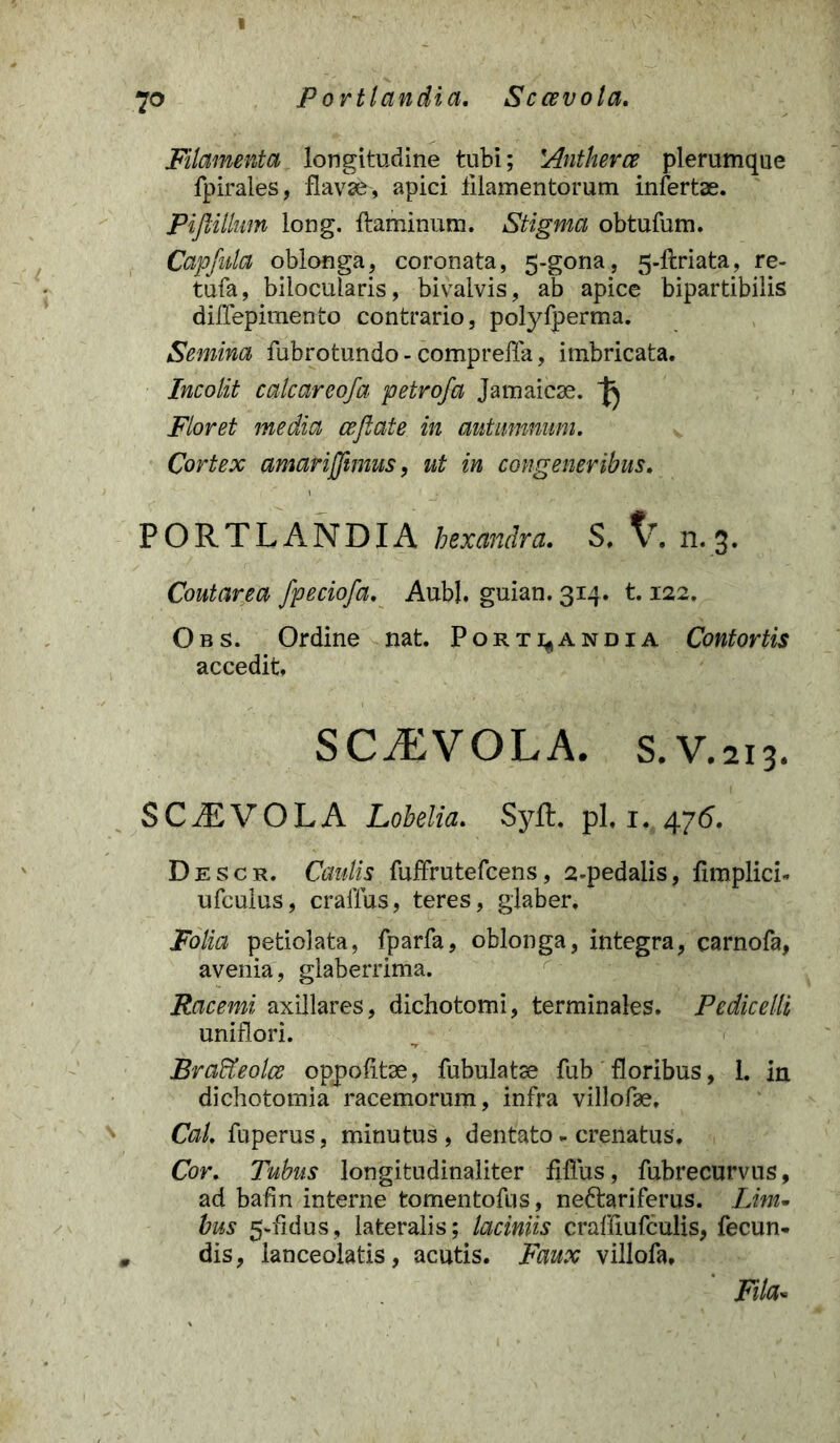 I 7 o P ortlandia. Sccevola, Filamenta longitudine tubi; 'Antherce plerumque fpirales, flavae, apici filamentorum infertae. Pijiillum long. ftaminum. Stigma obtufum. Capfula oblonga, coronata, 5-gona, 5-ftriata, re- tufa, bilocularis, bivalvis, ab apice bipartibilis dilfepimento contrario, polyfperma. Semina fubrotundo - compreffa, imbricata. Incolit calcareofa petroja Jamaicae. ^ Floret media ceflate in autumnum. Cortex amarijfimus, ut in congeneribus. PORTLANDIA hexandra. S, XT. n. 3. Coutarea fpeciofa. AubJ. guian. 314. 1.122. Obs. Ordine nat. Porti^andia Contortis accedit. SCAEVOLA, s.v.213. SCAEVOLA Lobelia. Syft. pl. 1. 476. Descr. Caulis fulfrutefcens, 2q>edalis, fimplici. ufculus, craflus, teres, glaber. Folia petiolata, fparfa, oblonga, integra, carnofa, avenia, glaberrima. Racemi axillares, dichotomi, terminales. Pedicelli uniflori. BraUeolce oppolitse, fubulatse fub floribus, 1. in dichotomia racemorum, infra villofae, Cal. fuperus, minutus , dentato - crenatus. Cor. Tubus longitudinaliter fiffus, fubrecurvus, ad bafin interne tomentofus, ne£tariferus. Lim- bus 5-fidus, lateralis; laciniis craffiufculis, fecun- dis, lanceolatis, acutis. Faux villofa. Fila*