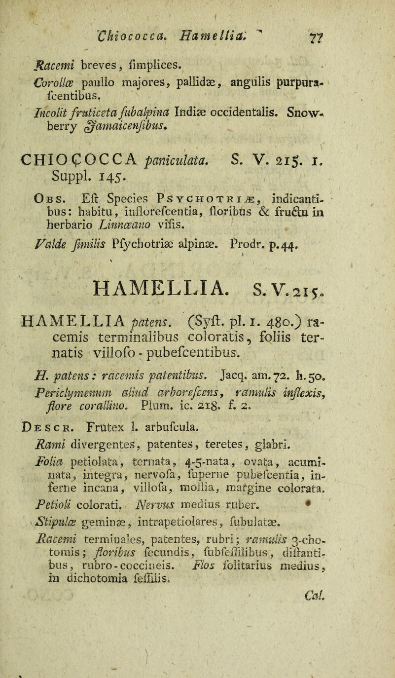 Racemi breves, limplices. Coro lice paullo majores, pallidae, angulis purpura- fcentibus. Incolit fruticeta fubalpina Indiae occidentalis. Show-. berry ffamaicenjibus. CHIOCOCCA paniculata. S. V. 215. I. Suppi. 145. Obs. Eli Species Psychotri^e, indicanti- bus: habitu, inilorefcentia, floribus & fru&u in herbario Linnceano vilis. Valde fimilis Pfychotriae alpinse. Prodr. p.44. H AMELLI A. S. V.215. HAMELLIA patens. (Syft. pl. i. 480.) ra- cemis terminalibus coloratis, foliis ter- natis villofo - pubefcentibus. H. patens: racemis patentibus. Jacq* am. 72. h. 50. Periclymenum aliud arborefcens, ramulis inflexis, flore cor allino. Pium. ic. 218. f. 2. Descr. Frutex 1. arbufeula. Rami divergentes, patentes, teretes, glabri. Folia petiolata, ternata, 4-5-nata, ovata, acumi- nata, integra, nervofa, fuperne pubefcentia, in- ferne incana, villofa, mollia, matgine colorata. Petioli colorati. Nervus medius ruber. • Stipulae geminae, intrapetiolares, fubulatae. Racemi terminales, patentes, rubri; ramulis 3-cho- tomis; floribus fecundis, fubfeifilibus, diftanti- bus, rubro-coccineis. Flos folitarius medius, m dichotomia feflilis, Cal.