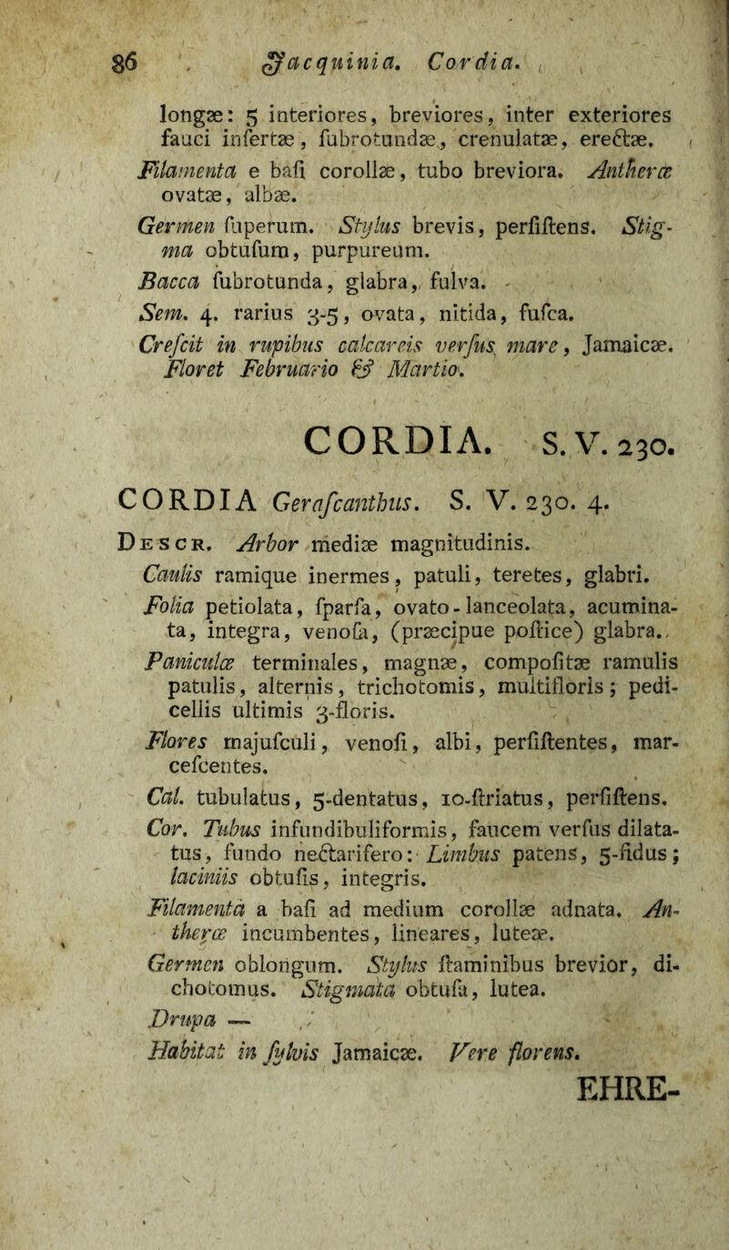 longae: 5 interiores, breviores, inter exteriores fauci infertae, fubrofcundae, crenulatae, ere&ae. Filamenta e bafi corollae, tubo breviora. Ant Herae ovatae, albae. Germen (operum. Stylus brevis, perfiftens. Stig- ma obtufum, purpureum. Bacca fubrotunda, glabra,, fulva. Sem. 4. rarius 3-5, ovata, nitida, fufca. Crefcit in rupibus calcar eis verfus) mare, Jamaicae. Floret Februario & Martio•. C ORDIA. S.V. 230. CORDI A Gerafcanthus. S. V. 230. 4. Descr. Arbor mediae magnitudinis. Caulis ramique inermes, patuli, teretes, glabri. Folia petiolata, fparfa, ovato - lanceolata, acumina- ta, integra, venodi, (praecipue podice) glabra. Paniculae terminales, magnae, compotitae ramulis patulis, alternis, trichotomis, multifloris; pedi- cellis ultimis 3-floris. Flores rnajufculi, venod, albi, perdftentes, mar- cefcentes. Cal. tubulatus, 5-dentatus, 10-ftriatus, perfiftens. Cor. Tubus infundibuliformis, faucem verfus dilata- tus, fundo nectarifero: Limbus patens, 5-fidus; laciniis obtufts, integris. Filamenta a bad ad medium corollae adnata. An- therce incumbentes, lineares, luteae. Germen oblongum. Stylus ftaminibus brevior, di- chotomus. Stigmata obtufa, lutea. JDrupa — Habitat in fulvis Jamaicae. Vere florens. EHRE-