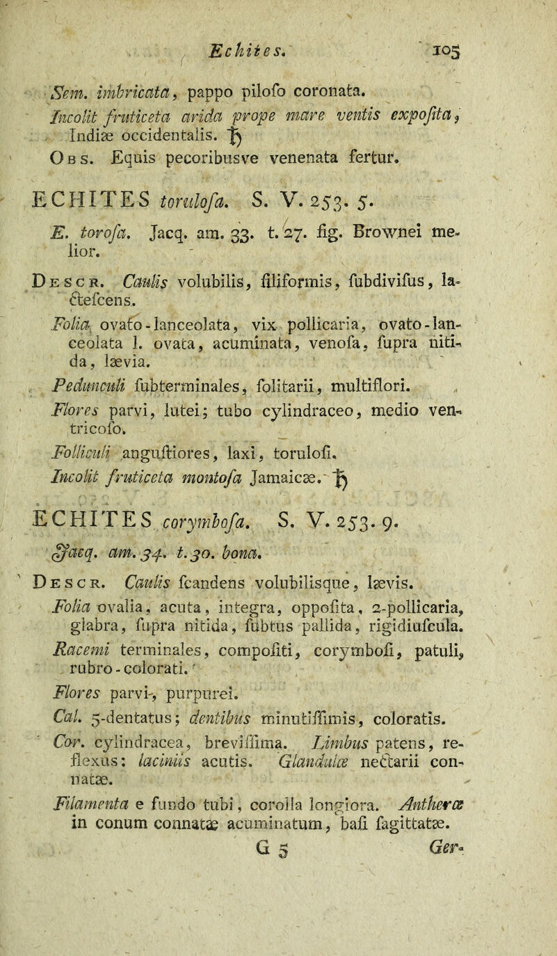 Sem. imbricata, pappo pilofo coronata. Incolit fruticeta arida prope mare ventis expofvtaf Indiae occidentalis. ^ Obs. Equis pecoribusve venenata fertur. ECHITES torulofa. S. V. 253. 5. E. torofa. Jacq. am. 33. t. 27. fig. Brownei me» lior. Descr. Caulis volubilis, filiformis, fubdivifus, la= dtefcens, Folm ovato-lanceolata, vix pollicaria, ovato-lan- ceolata 1. ovata, acuminata, venofa, fupra niti- da, laevia. Pedunculi fubterminales, folitarii, multiflori. Flores parvi, lutei; tubo cylindraceo, medio ven-» tricolo. Folliculi anguJHores, laxi, torulofi. Incolit fruticeta montofa Jamaicae. ECHITES corymbofa. S. V. 253. 9. ftfacq. am-. 34. t.30. bona. Descr. Caulis fcandens volnbilisque, laevis. Folia ovalia, acuta, integra, oppofita, 2-pollicaria, glabra, fupra nitida, fubtus pallida, rigidiufcula. Racemi terminales, compotiti, corymboix, patuli, rubro - colorati.' Flores parvi-, purpurei. CaL 5-dentatus; dentibus minutiffimis, coloratis. Cor. cylindracea, breviffima. Limbus patens, re- flexus; laciniis acutis. Glandulae nectarii con- natae. Filamenta e fundo tubi, corolla longiora. Antherce in conum connatae acuminatum, bali fagittatae. G 5 Ger°