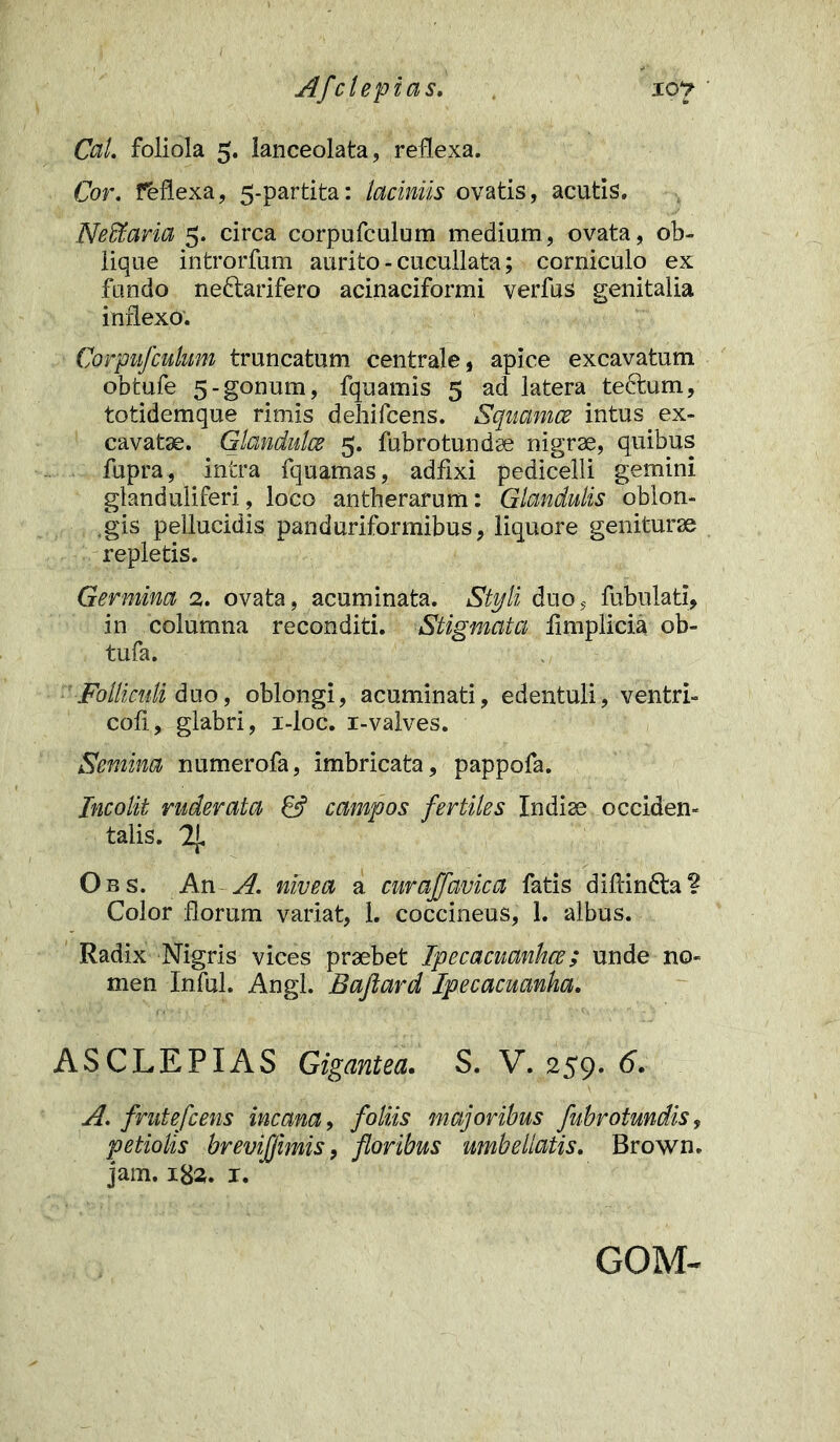 Af'cleptas. I0? ' Ccil foliola 5. lanceolata, reflexa. Cor. f&flexa, 5-partita: laciniis ovatis, acutis. Neffiaria 5. circa corpufculum medium, ovata, ob- lique introrfum aurito-cucullata; corniculo ex fundo nedlarifero acinaciformi verfus genitalia inflexo. Corpufculum truncatum centrale, apice excavatum obtufe 5-gonum, fquamis 5 ad latera teftum, totidemque rimis dehifcens. Squamee intus ex- cavatae. Glandulce 5. fubrotundae nigrae, quibus fupra, intra fquamas, adfixi pedicelli gemini glanduliferi, loco antherarum: Glandulis oblon- gis pellucidis panduriformibus, liquore geniturae repletis. Germina 2. ovata, acuminata. Styli duo, fubulati, in columna reconditi. Stigmata limplicia ob- tufa. Folliculi duo, oblongi, acuminati, edentuli, ventri» coli, glabri, i-loc. i-valves. Semina numerofa, imbricata, pappofa. Incolit ruderata & campos fertiles Indiae occiden- talis. 2J. Obs. An A. nivea a curaffavica fatis dilfindta? Color florum variat, 1. coccineus, 1. albus. Radix Nigris vices praebet Ipecacuanhce; unde no- men Infui. Angi. Bafiard Ipecacuanka. ASCLEPIAS Gigantea. S. V. 259. 6. A. fmtefcens incana, foliis majoribus fubrotundis, petiolis brevifjimis, floribus umbellatis. Brown. jam. 182. 1. GOM-
