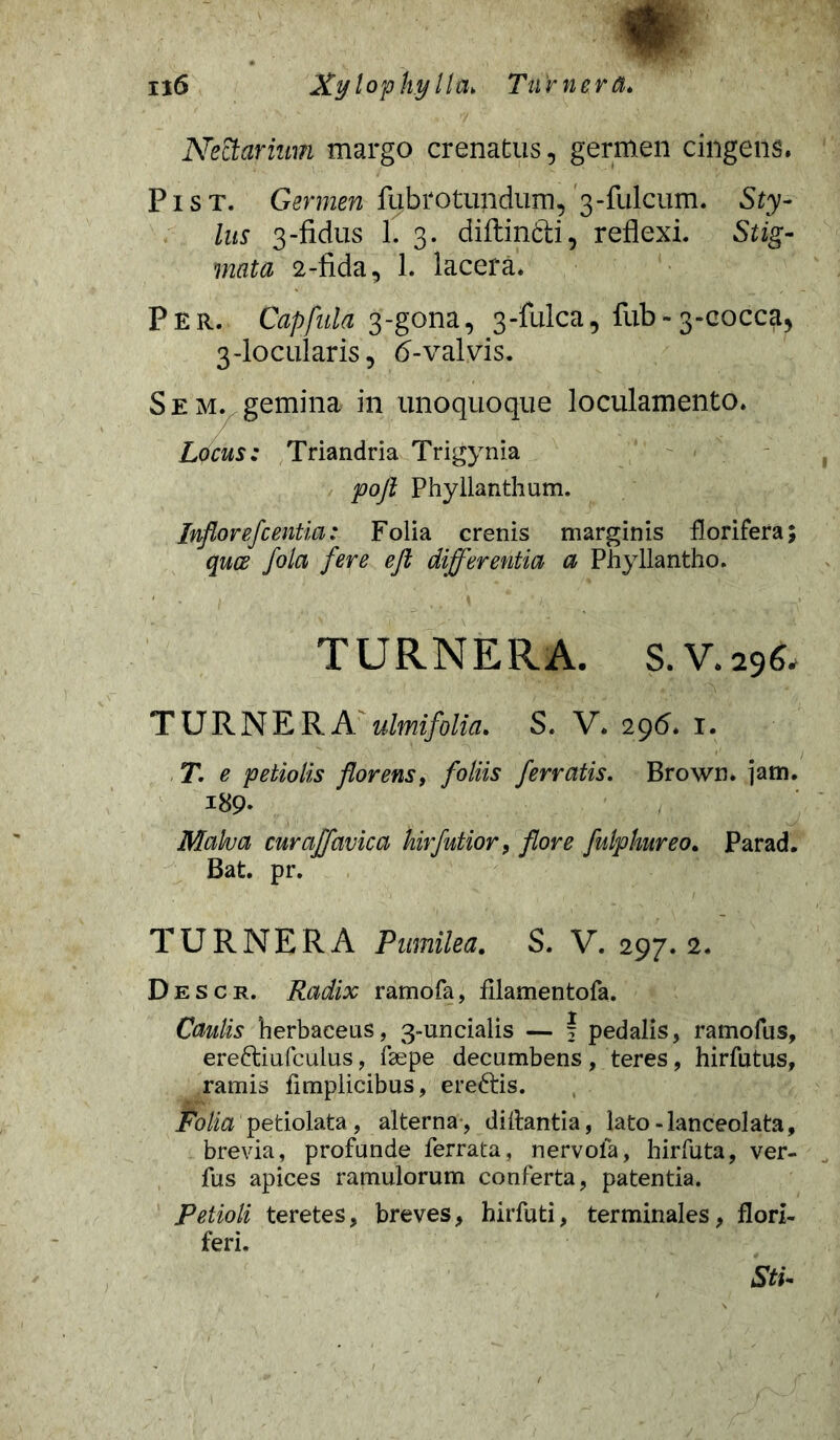 Nectarinm margo crenatus, germen cingens. P i s T. Germen fubrotundum, 3-fulcum. Sty- lus 3-fidus 1. 3. diftin&i, reflexi. Stig- mata 2-fida, 1. lacera. Per. Capfala 3-gona, 3-fulca, fub-3-cocca, 3-locularis, 6-valvis. Sem. gemina in unoquoque loculamento. Locus: Triandria Trigynia poft Phyllanthum. Inflor efc entia: Folia crenis marginis florifera; quce fola fere eft differentia a Phyllantho. TURNERA. S.V.29^ TURNERA ulmifolia. S. V. 296. 1. T. e petiolis florens, foliis ferratis. Brown. jam. i89- Malva curaffavica Urfutior, flore fulplmreo. Parad. Bat. pr. TURNERA Pumilea. S. V. 297.2. Descr. Radix ramofa, filamentofa. Caulis herbaceus, 3-uncialis — f pedalis, ramofus, ere&iufculus, fepe decumbens , teres, hirfutus, ramis fimplicibus, ereftis. Folia petiolata, alterna , diftantia, lato-lanceolata, brevia, profunde ferrata, nervola, hirfuta, ver- fus apices ramulorum conferta, patentia. Petioli teretes, breves, hirfuti, terminales, flori- feri.