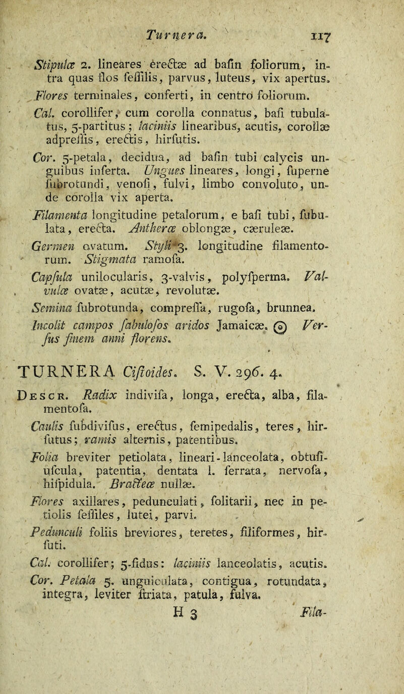 Stipulce 2. lineares eredbe ad bafin foliorum, in- tra quas ilos feffilis, parvus, luteus, vix apertus. Flores terminales, conferti, in centrd foliorum. CaL corollifer, cum corolla connatus, bafi tubula- tus, 5-partitus; laciniis linearibus, acutis, corollae adpreilis, ereftis, hirfutis. Cor. 5-petala, decidua, ad bafin tubi calycis un- guibus inferta. Ungues lineares, longi, fuperne fubrotundi, venofi, fulvi, limbo convoluto, un- de corolla vix aperta. Filamenta longitudine petalorum, e bafi tubi, fubu- lata, erecta. Antkerce oblongae, caeruleae. Germen ovatum. Styli*3. longitudine filamento- rum. Stigmata ramofa. Capfula unilocularis, 3-valvis, polyfperma. Val- vula ovatae, acutae, revolutae. Semina fubrotunda, compreffa, rugofa, brunnea. Incolit campos fabulofos aridos Jamaicae. 0 Ver- fus finem anni florens. TURNERA Cifioides. S. V. 296. 4* Descr. Radix indivifa, longa, erefta, alba, fila- mentofa. Caulis fubdivifus, eredtus, femipedalis, teres , hir- futus; ramis alternis, patentibus. Folia breviter petiolata, lineari-lanceolata, obtufi- ufcula, patentia, dentata 1. ferrata, nervofa, hifpidula. Brattece nullae. Flores axillares, pedunculati, folitarii, nec in pe- tiolis feffiles , lutei, parvi. Pedunculi foliis breviores, teretes, filiformes, hir- futi. CaL corollifer; 5-fidus: laciniis lanceolatis, acutis. Cor. Petala 5. unguiculata, contigua, rotundata, integra, leviter ftriata, patula, fulva. H 3 Fila -