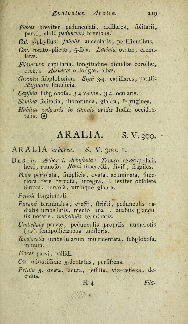 Evotvolus. Aratia. Flores breviter pedunculari, axillares, folitarii, parvi, albi; pedunculis brevibus. Cal. 5-phyllus: foliolis lanceolatis, perliftentibus. Cor. rotato-plicata, 5-dda. Lacinice ovatae, crenu- latae. \ Filamenta capillaria, longitudine dimidiae corollae, erefta. Antkerce oblongae, albae. Germen fubglobofum. Styli 3-4. capillares, patuli; Stigmata limplicia. 1 Capfula fubglobofa, 3-4-valvis, 3-4-locularis. Semina folitaria, fubrotunda, glabra, ferruginea. Habitat vulgaris in campis aridis Indiae occiden- talis. © ARALIA. S.V.300. ARALIA arborea. S. V. 300. 1. Descr. Arbor d. Arbufcula: Trunco 12-20-pedali, laevi, ramofo. Rami fuberecti, divifi, fragiles. Folia petiolata, limplicia, ovata, acuminata, fupe- riora fere ternata, integra, !, leviter obfolete ferrata, nervofa, utrinque glabra. Petioli longiufculi. Racemi terminales, e.re6li, ftri6li, pedunculis ra- diatis umbellatis, medio una 1. duabus glandu- lis notatis, umbellnlis terminatis. Umbellutce parvae, pedunculis propriis numerolis (30) femipollicaribus nnifloris. Involucella umbellularum multidentata., fubglobofa, minuta. Flores parvi, pallidi. Cal. miuutiffime 5-dentatus, perfiftens. Petala 5. ovata, acuta, feifilia, vix-reflexa, de- cidua. H 4 Fila-