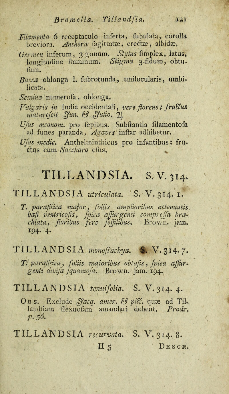 Filamenta 6 receptaculo inferta, fubulata, corolla breviora. Antherce fagittatse, ereftse, albidae. Germen inferum, 3-gonum. Stylus fimplex, latus, longitudine flaminum. Stigma 3-fidum, obtu- fum. Bacca oblonga 1. fubrotunda, unilocularis, umbi- licata, Semiita numerofa, oblonga. Vulgaris in India occidentali, vere florens; fruffins maturefeit fljun. & $14lio, 2J. Ujits oeconom. pro fepibus. Subflantia filamentofa ad funes paranda, Agaves inftar adhibetur. Ufus medie. Anthelminthicus pro infantibus: fru- £tus cum Saccharo efus» ^ TILLANDSIA. S.V.314. TILLANDSIA utriculata. S. V. 314. 1. T. parafitica major, foliis amplioribus attenuatis, bafi ventricofis, fpica ajfur genti compr effla bra- chiata, floribus fere JeJJilfbm\ Brown, jam. m- 4* , 1 . *''... • \ * TILLANDSIA monofltacbya. S. V. 314.7. T. parafitica, foliis majoribus obtufis, fpica ajfur- genti divifa Jquamofa. Brown. jam. 194. TILLANDSIA temiifoiia, S. V,314. 4. O b s. Exclude flfacq. amer. & piVc. quae ad TiL landfiam flexuofam amandari debent, Prodr. p.56. TILLANDSIA recurvata. S, \L314. 8. H 5 Descri