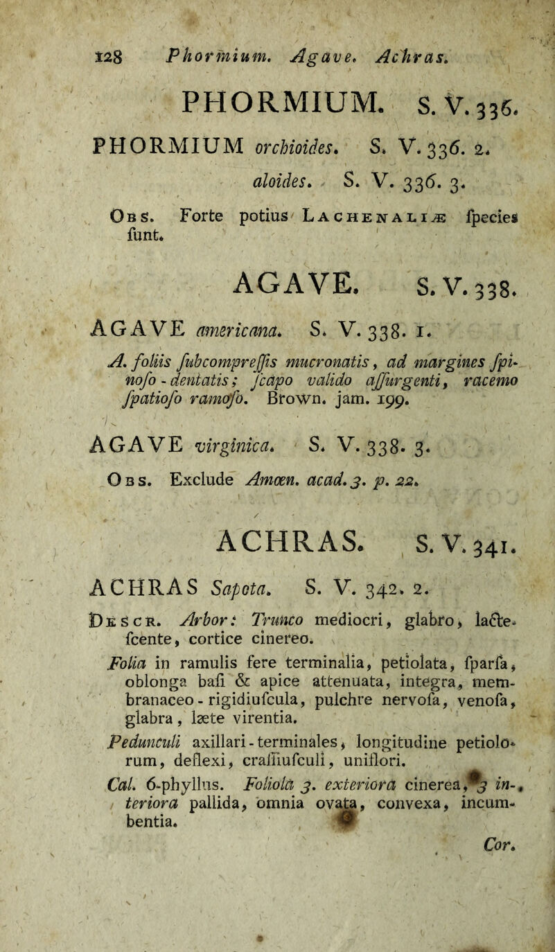 PHORMIUM. s. V. 336. PHORMIUM orchioides. S* V. 336. 2. aloides. S. V. 336. 3. Obs. Forte potius Lachenali^e fpecies funt. AGAVE. s.v.338. AGAVE americanct* S* V. 338. 1- A, foliis fubcomprejfis mucronatis, ad margines fpi- nofo - dentatis; Jcapo valido ajfurgenti, racemo fpatiofo ramofo, Brown. jam. 199. ii AGAVE virginica. S* V. 338. 3. Obs. Exclude Amcen. ac ad, 3, p, 22. ACHRAS. s.V.341. ACHRAS Sapota* S. V. 342. 2. DeScr. Arbor: Trunco mediocri, glabro, la6le> icente, cortice cinereo. Folia in ramulis fere terminalia, petiolata, fparla, oblonga baii & apice attenuata, integra, mem- branaceo - rigidiufcula, pulchre nervofa, venofa, glabra, laete virentia. Pedunculi axillari-terminales, longitudine petiolo- rum, deflexi, craffiufculi, uniflori. Cal. 6-phyllus. Foliola 3, exteriora cinerea,% in-, feriora pallida, omnia ovata, convexa, incum- bentia. Cor.