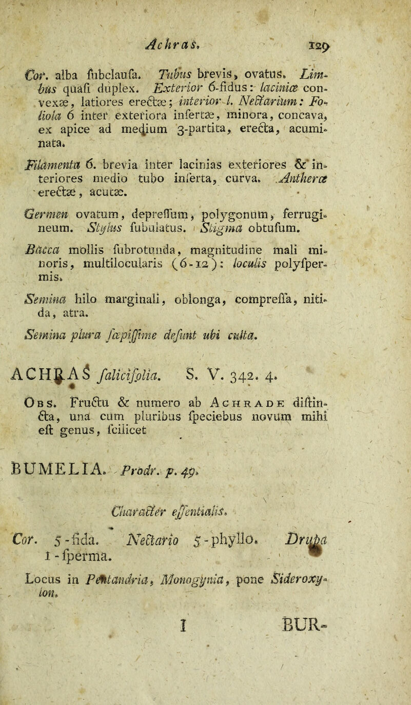 'f: Ackras» l2(> Cor. alba fubclaufa* Tubus brevis, ovatus. Lim- bus quafi duplex. Exterior 6-fidus: lacinice con- vexae, latiores erectae; interior-1. Neffiarium: Fo- Hola 6 inter exteriora infertae, minora, concava, ex apice ad medium 3-partita, erecta, acumi- nata* Filamenta 6. brevia inter lacinias exteriores &' in- teriores medio tubo inferta, curva* Anthertt ereftae, acutae. Germen ovatum, depreflum, polygonum, ferrugi- neum. Stylus fabulatus. Stigma obtufum. Bacca mollis fubrotunda, magnitudine mali mi- noris, multilocularis (6-12); loculis polyfper- mis* Semina hilo marginali, oblonga, comprefla, niti- da, atra. Semina plura fcepifjime defunt ubi culta. ACHgAS falicifplia. S. V. 342. 4. Obs. Fruftu & numero ab Achrade dilHn- 6ta, una cum pluribus fpeciebus novum mihi ell: genus, fcilicet BUMELIA* Prodr. p.49* Character ejfentiajis* Cor. 5-fida. Nectar io 5 - phyllo* Druha i - fperma. ** Locus in PMamkia, Monogynia, pone Sidero xy- lon. I BUR~