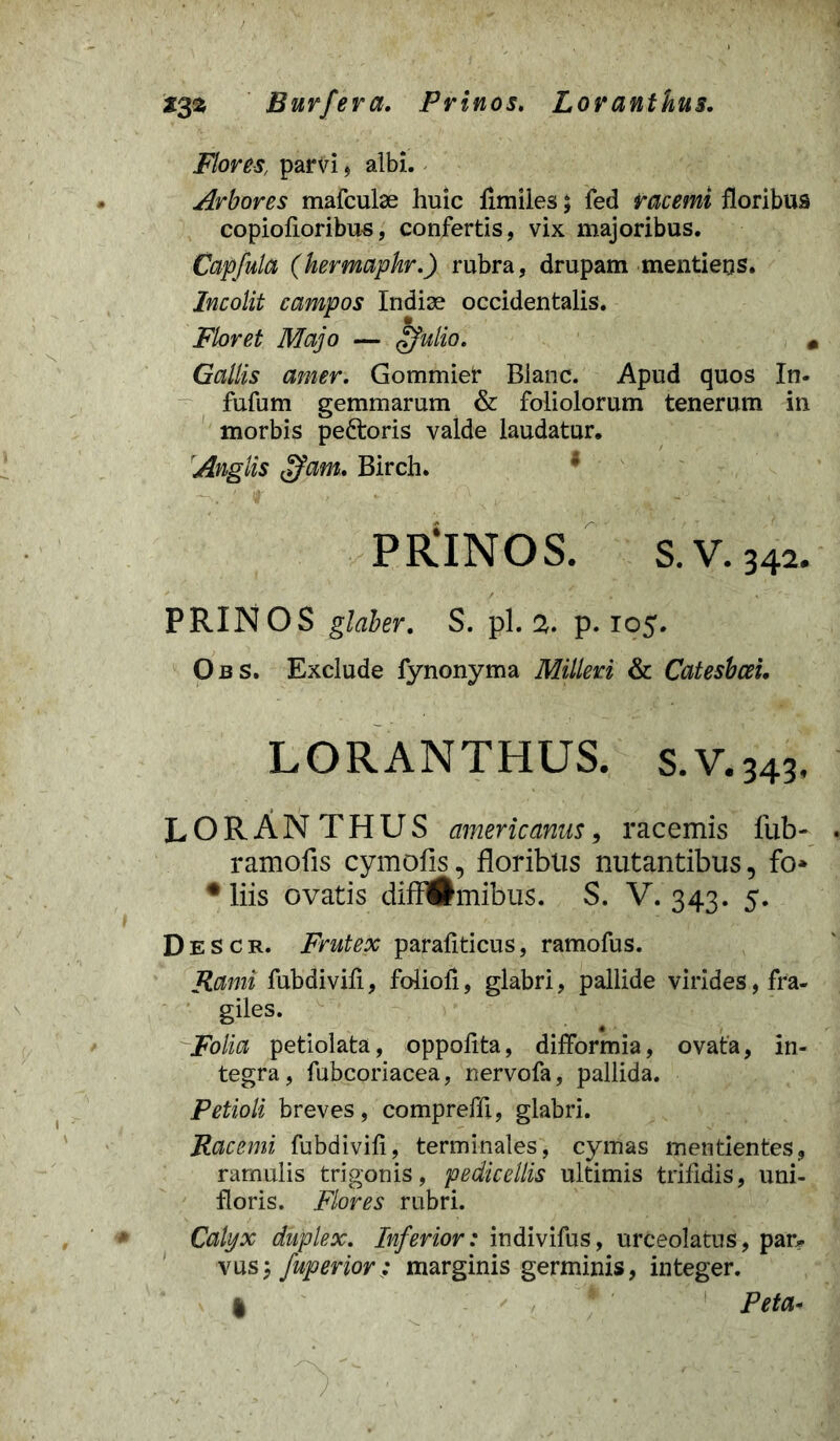 23% Burfera. Prinos. Lorantkus. Flores, parvi $ albi. Arbores mafculae huic fimiles; fed racemi floribus copiofioribus, confertis, vix majoribus. Capfula (kermaphr.) rubra, drupam mentieos. Incolit campos Indiae occidentalis. Floret Majo — tfulio. 4 Gallis amer. Gommier Blanc. Apud quos In- fufum gemmarum & foliolorum tenerum in morbis peftoris valde laudatur. 'Anglis (ffam. Birch. PR!lNOS. S.V.342. PRINOS glaber. S. pl. 2. p. 105. Obs. Exclude fynonyma Milleri & Catesbcei, LORANTHUS. s.V.343, LORANTKUS americanus, racemis fub- ramofis cymofis, floribus nutantibus, fo* •liis ovatis difi^mibus. S. V. 343. 5. Descr. Frutex parafiticus, ramofus. Rami fubdivifi, folioli, glabri, pallide virides, fra- giles. Folia petiolata, oppofita, difformia, ovata, in- tegra, fubcoriacea, nervofa, pallida. Petioli breves, compreffi, glabri. Racemi fubdivifi, terminales, cymas mentientes, ramulis trigonis, pedicellis ultimis trifidis, uni- floris. Flores rubri. Calyx duplex. Inferior: indivifus, urceolatus, par- vus; fuperior; marginis germinis, integer.