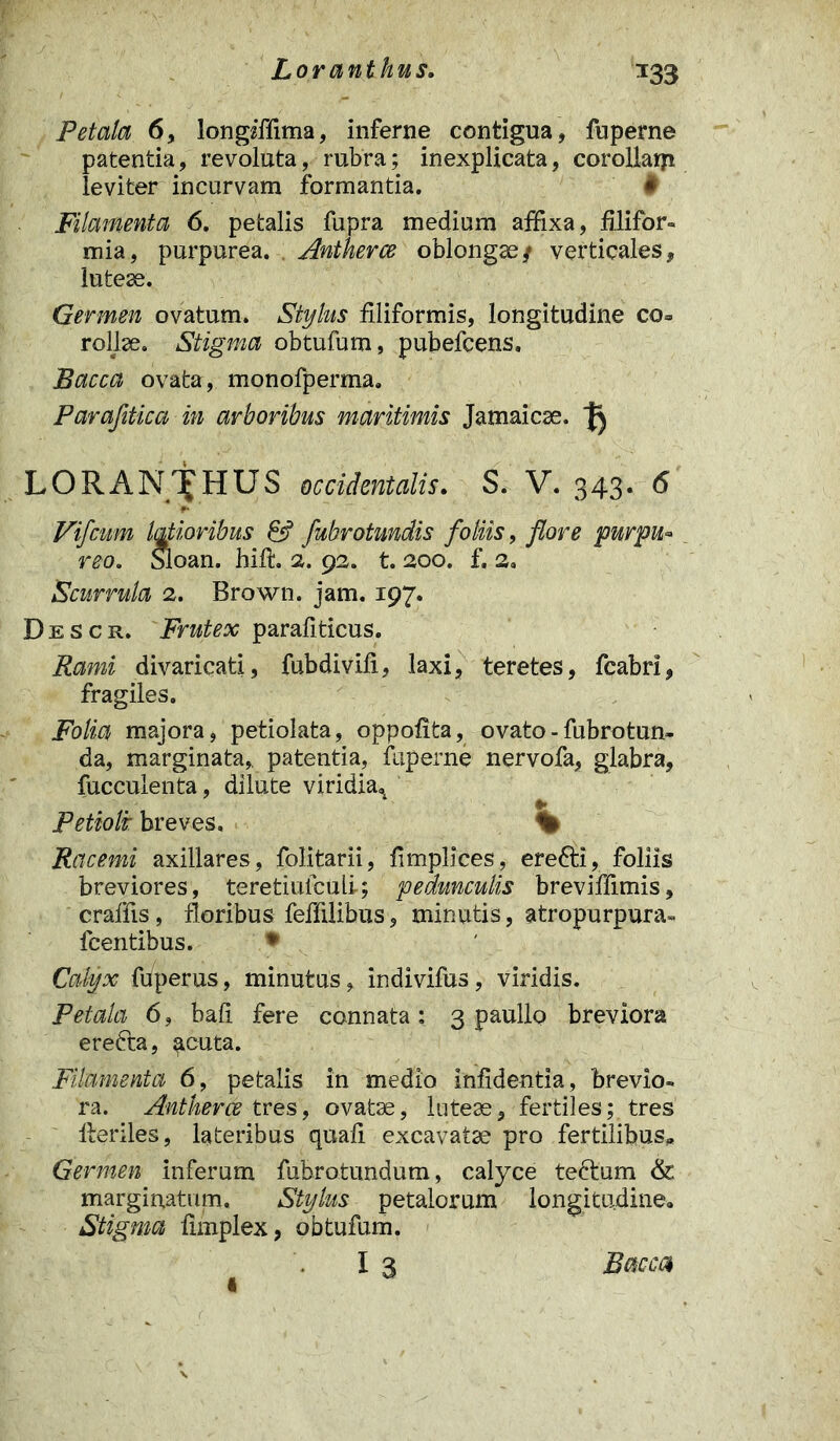 Loranthus. T33 Petala 6, longffiima, inferne contigua, fuperne patentia, revoluta, rubra; inexplicata, corollaip leviter incurvam formantia. « Filamenta 6. petalis fupra mediam affixa, filifor- mia, purpurea. . Antherce oblongae/ verticales, luteae. Germen ovatum. Stylus filiformis, longitudine co= rallae. Stigma obtufum, pubefcens. Bacca ovata, monofperma. Parafitica in arboribus maritimis Jamaicae. ^ LORANTfHUS occidentalis. S. V. 343. 6 Vifcum latioribus & fubrotnndis foliis, flore purpu- reo. Sloan. hift. 2. 92. t. 200. f. 2. Scurrula 2. Brown. jam. 197. Descr. Frutex parafiticus. Rami divaricati, fubdivifi, laxi, teretes, fcabri, fragiles. Folia majora, petiolata, oppofita, ovato - fubrotun- da, marginata, patentia, fuperne nervofa, glabra, fucculenta, dilute viridia. Petioli breves. % Racemi axillares, folitarii, fimplices, erefti, foliis breviores, teretiuiculi; pedunculis breviffimis, craffis, floribus feffilibus, minutis, atropurpura» fcentibus. ♦ Calyx fdperus, minutus, indivifus, viridis. Petala 6, bafi fere connata ; 3 paullo breviora erefta, ^cuta. Filamenta 6, petalis in medio infidentia, brevio- ra. Antherce tres, ovatae, lutese, fertiles; tres fteriles, lateribus quali excavatae pro fertilibus,. Germen inferum fubrotundum, calyce teftum & marginatum. Stylus petalorum longitudine. Stigma fimplex, obtufum. 13 « Bacca