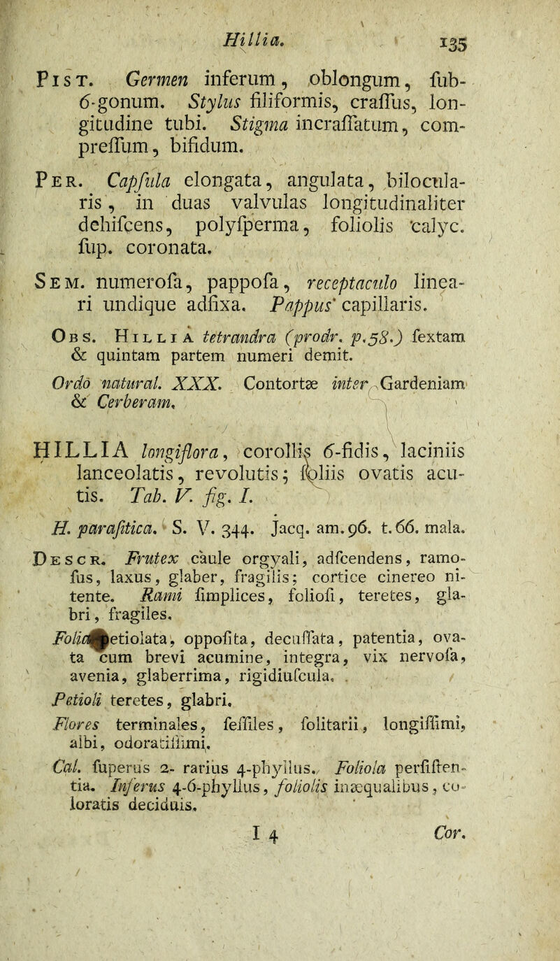 *35 P1 s t. Germen inferum , oblongum, fub- (5-gonum. Stylus filiformis, crafius, lon- gitudine tubi. Stigma incraffatum, com- prefium, bifidum. Per. Capfula elongata, angulata, trilocula- ris, in duas valvulas longitudinaliter dehifcens, polyfperma, foliolis 'calyc. fup. coronata. S em. numerofa, pappofa, receptaculo linea- ri undique adfixa. Pappus' capillaris. Obs. Hhli a tetrandra (prodr. p,5&.) fextam & quintam partem numeri demit. Ordo 'naturaL XXX. Contortae inter ^«rdeniam & Cerberum, HILLIA longiflora, corollis tf-fidis, laciniis lanceolatis, revolutis; Miis ovatis acu- tis. Tab. V. fig. /. H. parafitica. S. V. 344. Jacq. am.96. t.66. mala. Descr. Frutex caule orgyali, adfcendens, ramo- fus, laxus, glaber, fragilis; cortice cinereo ni- tente. Rami fimplices, foliofi, teretes, gla- bri, fragiles. FolicAetiolata; oppofita, decuffata, patentia, ova- ta cum brevi acumine, integra, vix nervofa, avenia, glaberrima, rigidiufcula. Petioli teretes, glabri. Flores terminales, feffiles, folitarii, longiflimi, albi, odoratiilimi, Cal. fuperus 2- rarius 4-phyllus. Foliola perfiften- tia. Inferus 4-6-phyllus, foliolis inaequalibus, co- loratis deciduis. 14 Cor.
