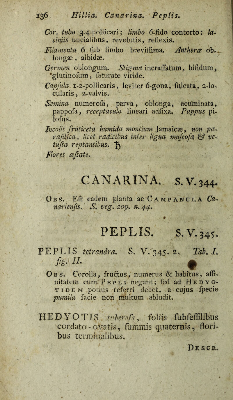 Cor. tubo 3-«^pollicari; limbo 6-fido contorto: la- ciniis uncialibus, revolutis, reflexis. Filamenta 6 fub limbo breviiFima. Antkerce longae, albidae. Germen oblongum. Stigma incraffatum, bifidum > •glutinofum, faturate viride. Capjula. 1-2-pollicaris, leviter 6-gona, filicata, 2-I0- cularis, 2-valvis. Semina numerofa, parva, oblonga, actfminata, pappofa, receptaculo lineari adfixa. Pappus pi- lofqs. Incolit fruticeta humida montium Jamaicae, non pa- rajitica, licet radicibus inter ligna mufcofa & ve- tujia reptantibus. Floret cejlate, CANARINA. S.V.344. Obs. Eft eadem planta ac Campanula Ca~ mrienfis. S. veg. 209. n. 44. PEPLIS. S.V.345. PEPLIS tetrandra. S. V. 345. 2, Tab. L fis- a. 9 Obs. Corolla, fru&us, numerus & habitus, affi- nitatem cum. Pepli negant; fed ad Hedyo- t 1 d e m potius referri debet* a cujus fpecie pumila facie non multum abludit, HEDYOTIS iwb&nfit, foliis fubfeflilibus cordato - ovatis, fummis quaternis, flori- bus terminalibus. Descr,