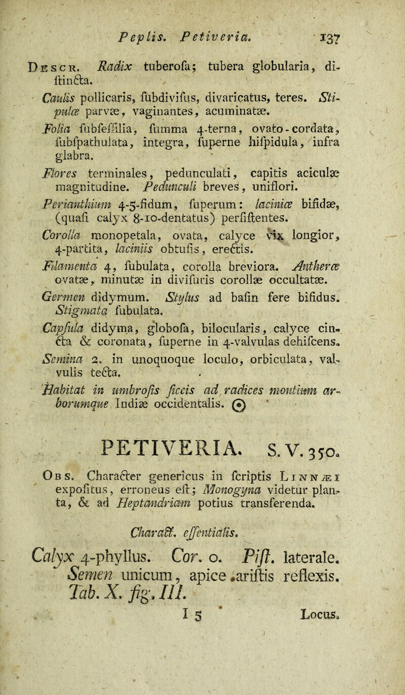 Peplis. P etiv eria. *3? Descr. Radix tuberofa; tubera globularia, di- ftinfta. Caulis pollicaris, fubdivifus, divaricatus, teres. Sti- pula parvae, vaginantes, acuminatae. Folia fubfeffilia, fumma 4-terna, ovato-cordata, fubfpathulata, integra, fuperne hifpidula, infra glabra. Flores terminales, pedunculati, capitis aciculae magnitudine. Pedunculi breves, uniflori. Perianthium 4-5-fidum, fuperum: lacmice bifidae, (quali calyx 8-io-dentatus) perfiftentes. Corolla monopetala, ovata, calyce vix longior, 4-partita, laciniis obtulis, ereftis. Filamenta 4, fubulata, corolla breviora. Antherm ovatae, minutae in divifuris corollae occultatae. Germen didymum. Stylus ad balin fere bifidus. Stigmata fubulata. Capfula didyma, globofa, bilocularis, calyce cin« 6ta & coronata, fuperne in 4-valvulas dehifcens. Semina 2. in unoquoque loculo, orbiculata, val- vulis te6ta. 'Habitat in umbrofis ficcis ad radices montium ar- borumque Indiae occidentalis. @ PETIV ERIA. S. V. 350« Obs. Charadter genericus in fcriptis Linn^ei expofitus, erroneus eil; Monogyna videtur piam ta, & ad Heptmdrictm potius transferenda. Charaffi, ejfentidlis. Calyx 4-phyllus. Cor. o. Pifl. laterale. Semen unicum, apice.ariftts reflexis. 15 ' Locus»