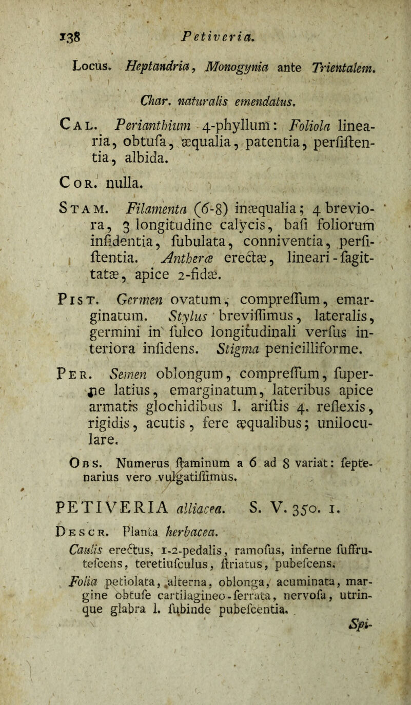 *38 P etiveria. Locus. Heptandria, Monogynia ante Trientalem. , ' f ■ ■' 'A  ‘ ‘«■ Char. naturalis emendatus. Cal. Perianthium 4-phyllum: Foliola linea- ria, obtufa, aequalia, patentia, perfllten- tia, albida. Cor. nulla. Stam. Filamenta (6-8) inaequalia; 4 brevio- ‘ ra, 3 longitudine calycis, bafl foliorum infidentia, fubulata, conniventia, perfi- ftentia. Antherce erectae, lineari - fagit- tatae, apice 2-fidae. Pist. Germen ovatum, compreflum, emar- ginatum. Stylus breviflimus, lateralis, germini in fulco longitudinali verfus in- teriora infidens. Stigma penicilliforme. Per. Semen oblongum, comprefiTurn, fuper- fie latius, emarginatum, lateribus apice armatrs glochidibus 1. ariftis 4. reflexis, rigidis, acutis , fere aequalibus; unilocu- lare. Obs. Numerus flaminum a 6 ad 8 variat: fepte- narius vero vifl^atiffimus. PETIVERIA alliacea. S. V. 350. 1. D e s c r. Planta herbacea. Caulis ereftus, 1-2-pedalis, ramofus, inferne fuffru- tefcens, teretiufculus, ftriatus, pubefcens, Folia petiolata,,alterna, oblonga,' acuminata, mar- gine obtufe cartilagineo - ferrata, nervofa, utrin- que glabra 1. lqbinde pubefcentia. Spi-