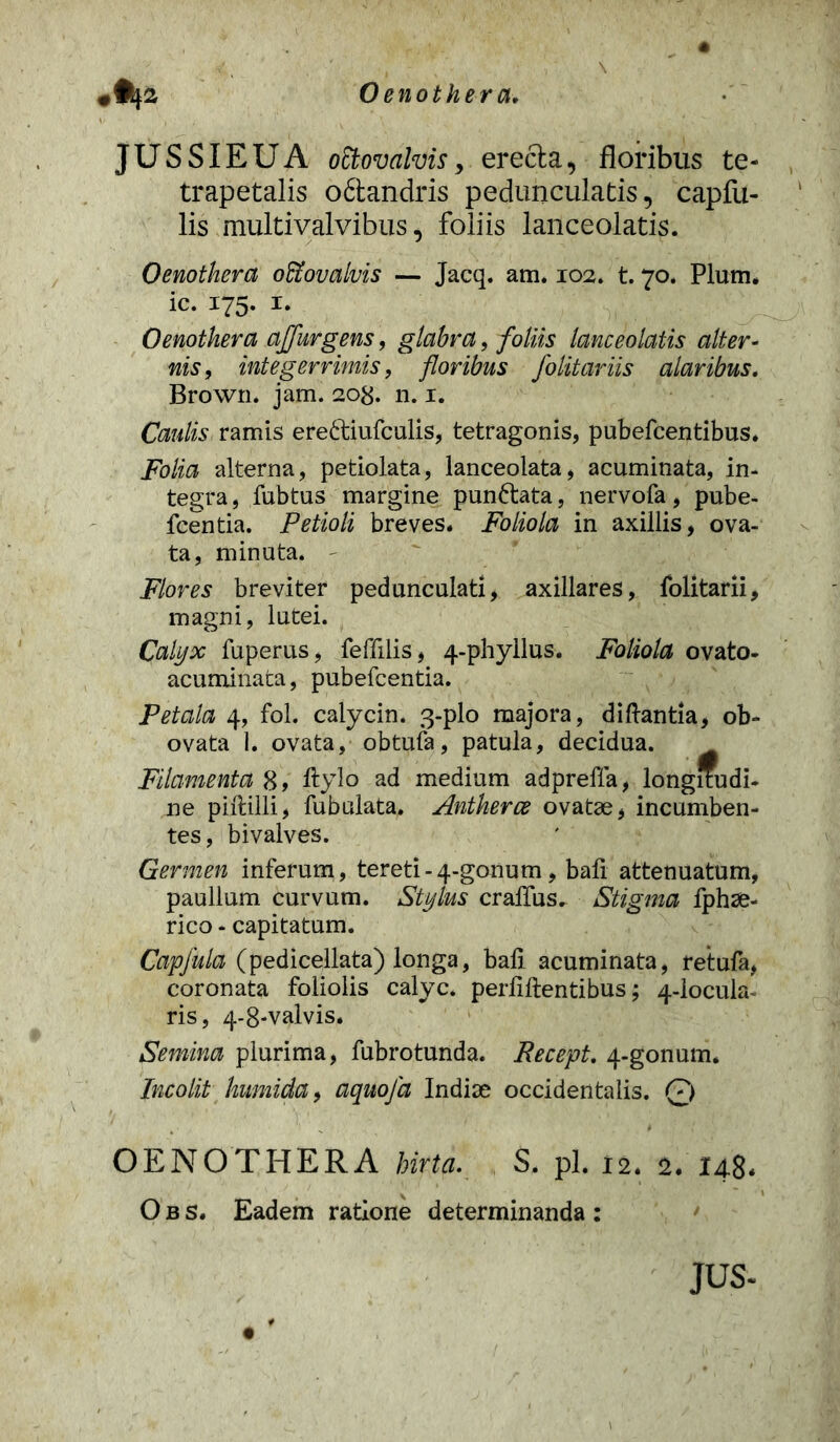 0%2 0 eno t hera, JUSSIEUA oEtovalvis, erecta, floribus te- trapetalis odtandris pedunculatis, capfu- lis multivalvibus, foliis lanceolatis. Oenothera offiovalvis — Jacq. am. 102. t. 70. Pium, ic. 175. i. Oenothera ajfurgens, glabra, foliis lanceolatis alter- nis, integerrimis, floribus folitariis alaribus. Brown. jam. 208. n. 1. Caulis ramis ere£tiufculis, tetragonis, pubefcentibus. Folia alterna, petiolata, lanceolata, acuminata, in- tegra , fubtus margine punttata, nervofa, pube- fcentia. Petioli breves. Foliola in axillis, ova- ta, minuta. - Flores breviter pedunculati, axillares, folitarii, magni, lutei. Calyx fuperus, feffilis, 4-phyllus. Foliola ovato- acuminata, pubefcentia. Petala 4, fol. calycin. 3-plo majora, diftantia, ob- ovata 1. ovata, obtufa, patula, decidua. Filamenta 8, Itylo ad medium adprefla, longitudi- ne piftilli, Tubulata. Antherce ovatae, incumben- tes , bivalves. Germen inferum, tereti - 4-gonum, bafi attenuatum, paullum curvum. Stylus craffus. Stigma fphae- rico - capitatum. Capfula (pedicellata) longa, bali acuminata, retufa, coronata foliolis calyc. perliftentibus; 4-locula- ris, 4-8-valvis. Semina plurima, fubrotunda. Recept. 4-gonum. Incolit humida, aquofa Indiae occidentalis. 0 OENOTHERA hirta. S. pl. 12. 2. 148* O b s. Eadem ratione determinanda : jus-