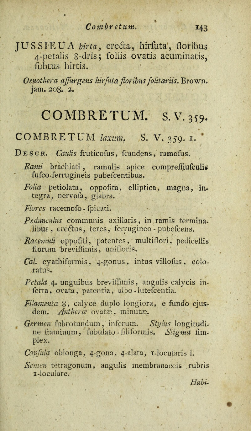 Combr etum. m JUSSIEUA hirta, ere&a-, hirfuta’, floribus 4-petalis 8-dris; foliis ovatis acuminatis, fubtus hirtis. Oenotkera affurgens hirfuta floribus folitariis. Brown. jam. 208. 2. COMBRETUM. S.V.359. COMBRETUM laxum. S. V. 359. 1. Descr. Caulis fruticofus, fcandens, ramofus. Rami brachiati, ramulis apice comprefiiufculis fufco-ferrugineis pubefcentibus. Folia petiolata, oppofita, elliptica, magna, in- tegra, nervofa, glabra. Flores racemofo - Apicati. Pedunculus communis axillaris, in ramis termina* libus, ereftns, teres, ferrugineo - pubefcens. Racemuii oppofiti, patentes, multiflori, pedicellis florum flreviffimis, unifloris. Cal. cyathiformis, 4-gonus, intus villofus , colo* ratus. Petala 4. unguibus breviffimis, angulis calycis in* ferta, ovata, patentia, albo-lutefcentia. Filamenta 8? calyce duplo longiora, e fundo ejus» dem. Antherce ovate, minute. Germen fubrotundum, inferum. Stylus longitudi- ne flaminum, fubulato -filiformis. Stigma ii tri- plex. Capfula oblonga, 4-gona, 4-alata, i-locularis 1. Semen tetragonum, angulis membranaceis rubris i-loculare. Habi-