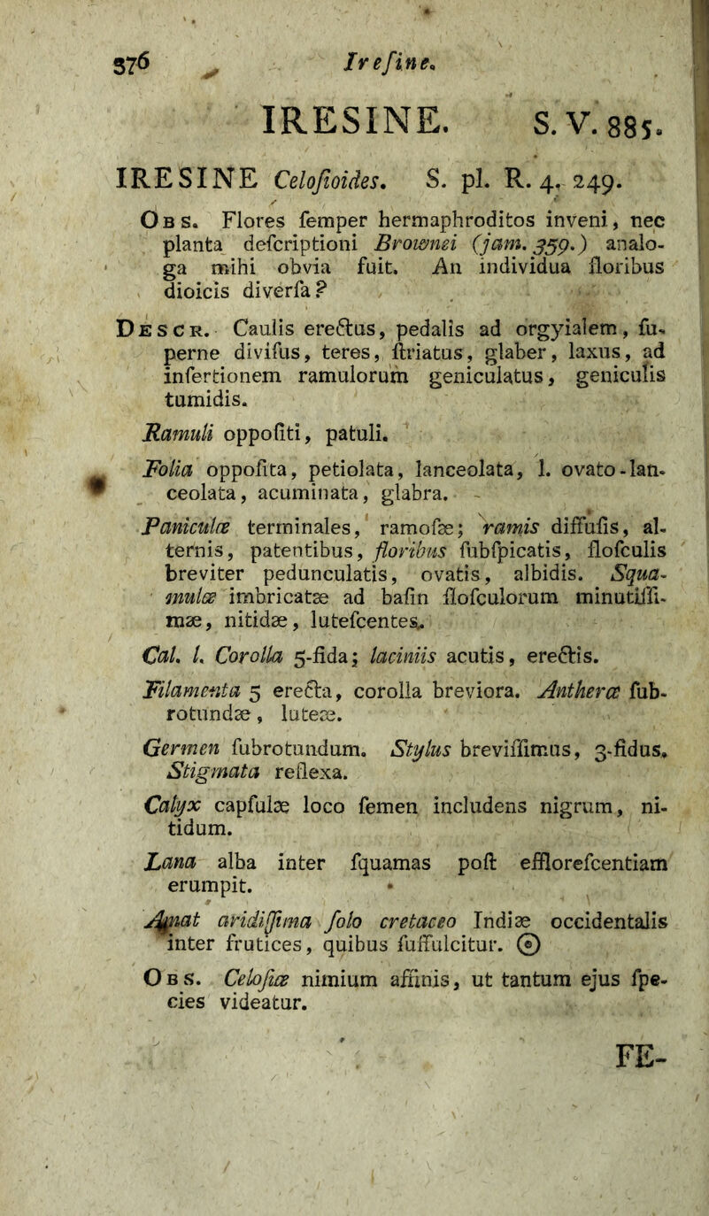 IRESINE. S.V. 885. IRESINE Celofioides. S. pl. R. 4. 249. Obs. Flores femper hermaphroditos inveni, nec planta defcriptioni Brownei (jam. 359.) analo- ga mihi obvia fuit. An individua floribus dioicis diverfa? Descr. Caulis ere&us, pedalis ad orgyialem, fu- perne divifus, teres, ftriatus, glaber, laxus, ad infertionem ramulorum geniculatus, geniculis tumidis. jRamuli oppoliti, patuli. Folia oppofita, petiolata, lanceolata, 1. ovato-lan- ceolata, acuminata, glabra. - Paniculce terminales, ramofse; ramis diffidis, al- ternis, patentibus, floribus fubfpicatis, flofculis breviter pedunculatis, ovatis, albidis. Squa- mula imbricatae ad bafin fiofculorum minutifli- mae, nitidae, lutefcentes* Cal. L Corolla 5-fida, laciniis acutis, erefris. Filamenta 5 erecta, corolla breviora. Antkercc fub- rotundae, luteis. Germen fubrotundum. Stylus breviffimus, 3.fidus. Stigmata reflexa. Catyx capfulae loco femen includens nigrum, ni- tidum. Lema alba inter fquamas poft effiorefeentiam erumpit. • sfynat ciridiffima folo cretaceo Indiae occidentalis inter frutices, quibus fuffulcitur. © Obs. Celojia nimium affinis, ut tantum ejus fpe- cies videatur. FE-