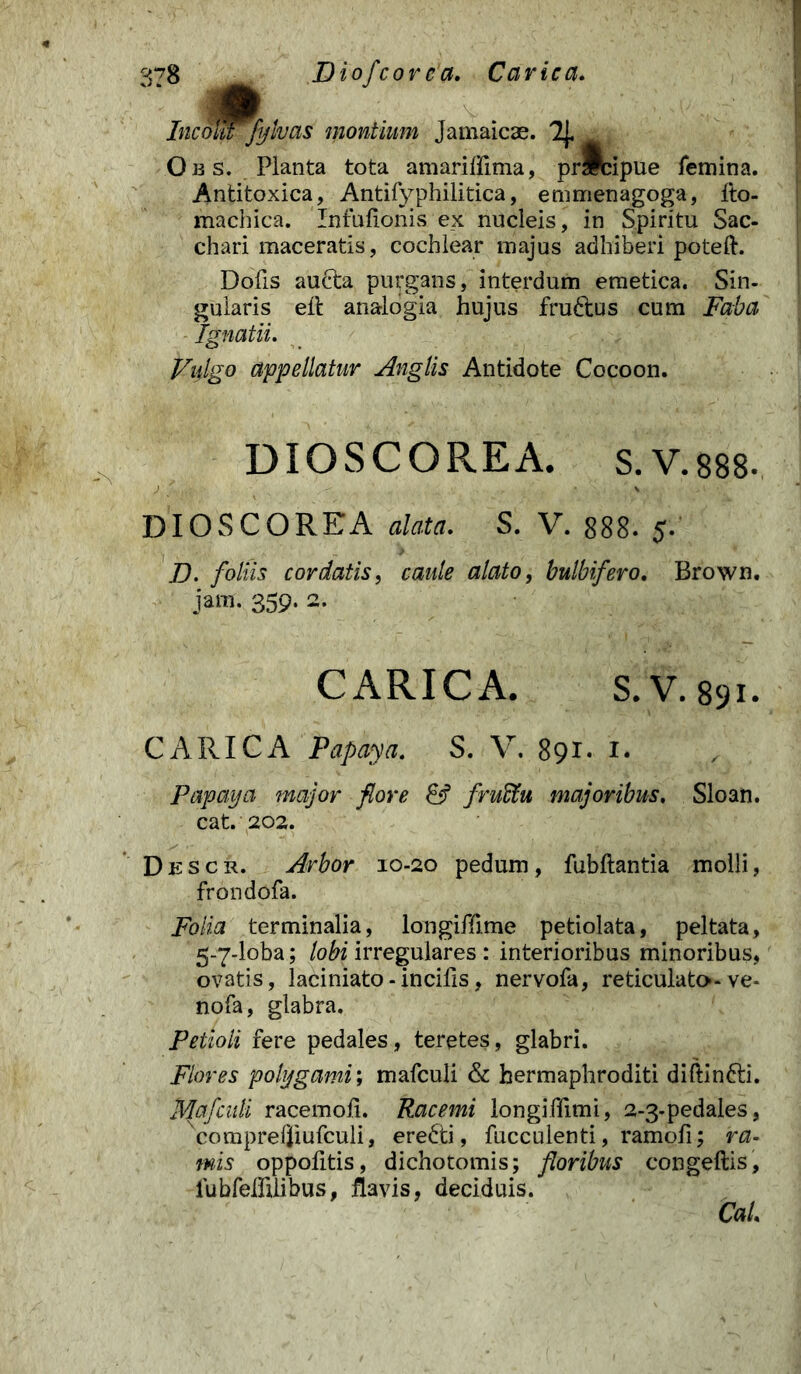 IncotrTfylvas montium Jamaicae. 2j. Obs. Planta tota amariflima, prScipue femina. Antitoxica, Antifyphilitica, emmenagoga, Ito- machica. Infufionis ex nucleis, in Spiritu Sac- chari maceratis, cochlear majus adhiberi poteft. Dofis aucta purgans, interdum emetica. Sin- gularis eit analogia hujus fruftus cum Faba Ignatii. Vulgo appellatur Anglis Antidote Cocoon. DIOSCOREA. S. V. 888- DIOSCOREA alata. S. V. 888- $. ]J. foliis cordatis, caule alato, bulbifero. Brown. jam. 359. 2. CARICA. S.V. 891. CARICA Papaya. S. V. 891- i. Papaxja major flore & fruffiu majoribus. Sloan. cat. 202. Descr. Arbor 10-20 pedum, fubftantia molli, frondofa. Folia terminalia, longiffime petiolata, peltata, 5-7-loba; lobi irregulares : interioribus minoribus, ovatis, laciniato-incifis, nervofa, reticulato-ve- nofa, glabra. Petioli fere pedales, teretes, glabri. Flores poUjgami; mafculi & hermaphroditi diftin&i. Mafculi racemoli. Racemi longiffimi, 2-3-pedales, xcomprefJiufculi, erecti, fucculenti, ramofi; ra- mis oppolitis, dichotomis; floribus congeftis, lubfelhlibus, flavis, deciduis. CaL