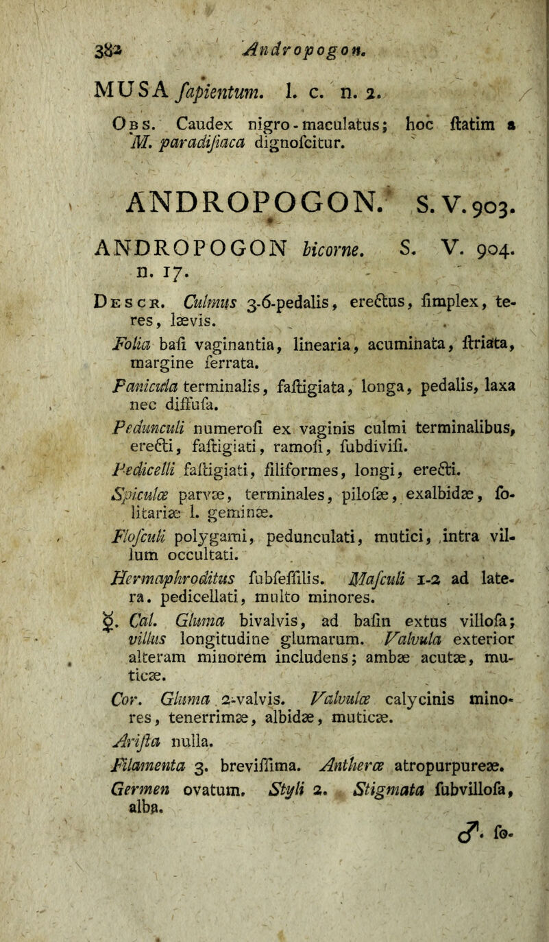 Andropogon. MUS A fapientum. 1. c. n. 2. Obs. Caudex nigro - maculatus; hoc ftatim a 'M. paradijiaca dignofcitur. ANDROPOGON. S.V.903. ANDROPOGON bicorne. S. V. 904. n. 17. Descr. Culmus 3-6-pedalis, ere&us, iimplex, te- res, laevis. Folia bali vaginantia, linearia, acuminata, ftriatta, margine ferrata. Panicida terminalis, faffigiata, longa, pedalis, laxa nec diffufa. Pedunculi numerofi ex vaginis culmi terminalibus, ere&i, faftigiati, ramofi, fubdivili. Pe dic e tli faftigiati, filiformes, longi, ere&i. Spiculce panose, terminales, pilofae, exalbidae, fo- litariae 1. geminae. Flofculi polygami, pedunculati, mutici, intra vil- lum occultati. Hermaphroditus fubfeffilis. Mafculi 1-2 ad late- ra. pedicellati, multo minores. £>. Cat. Gluma bivalvis, ad bafin extus villofa; villas longitudine glumarum. Valvula exterior alteram minorem includens; ambae acutae, mu- ticae. Cor. Gluma 2-valvis. Valvulce calycinis mino- res, tenerrimae, albidae, muticae. Arifta nulla. Filamenta 3. brevifllma. Antherce atropurpureae. Germen ovatum. Styli 2. Stigmata fubvillofa, alba.
