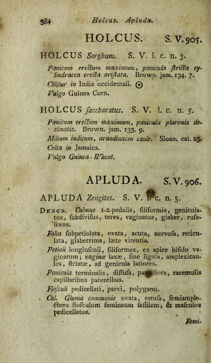 HOLCUS. S. V.90J. HOLCUS Sorghum. S. V. 1. c. n. 3. Panicum ere&um maximum, panicula Jlri&a cy= lindracea ere&a arijlata. Brown, jam. 134. 7. Cdlitur in India occidentali. © Guinea Corn. HOLCUS faccharatus. S. V. 1. c. n. 5. Panicum ere&um maximum, paniculis plurimis de• ' clinatis. Brown. jam. 135. 9. Milium indicum, arundinaceo caule. Sloan. cat. 25. Culta in Jamaica. Vulgo Guinea - IVheat. APLUDA. S.V.906. APLUDA Zeugites. S. V. iP^c. n. 3. Descr. Culmus i-2-pedalis, filiformis * genicula- tus, fubdivifus, teres, vaginatus, glaber, rufe- 'fcens, . * Folia fubpetiolata, ovata, acuta, nervofa, reticu- lata, glaberrima, laete virentia. Petioli longiufculi, filiformes, ex apice bifido va- ginarum; vUgince laxae, fine liguia, amplexicau- les, ftriatae, ad genicula latiores. Panicula terminalis, diffufa, paetiora, racemulis capillaribus patentibus. Flofculi pedicellati, parvi, polygami. Cal. Gluma communis ovata, retufa, femiample- 6lens flofcalum femineum fefiilem, & mafculos pedicellatos. 4 Femi~