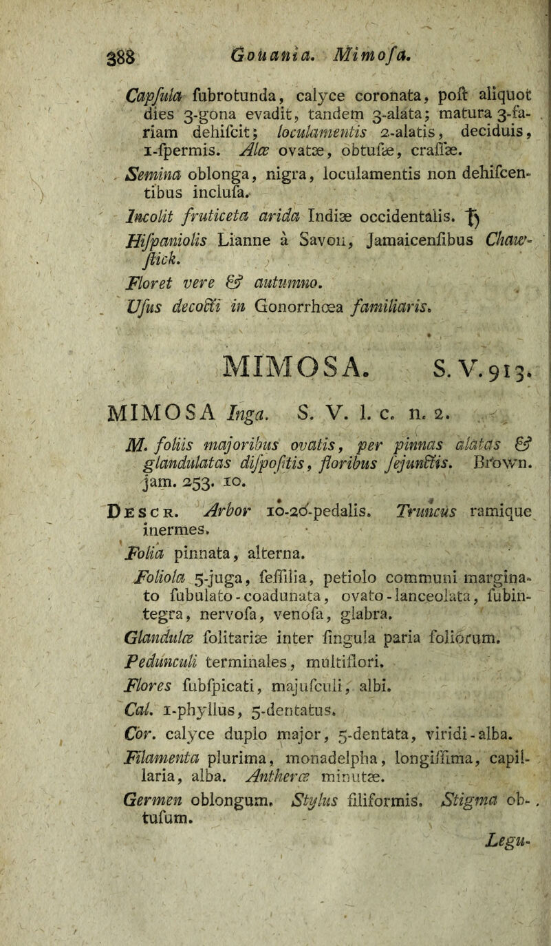 Capfula fubrotunda, calyce coronata, poft aliquot dies 3-gona evadit, tandem 3-alata; matura 3-fa- riam dehifcit; loculamentis 2.-alatis, deciduis, i-fpermis. Alce ovatae, obtufie, craffse. Semina oblonga, nigra, loculamentis non dehifcen» tibus inclufa. Incolit fruticeta arida Indiae occidentalis. ^ Hifpaniolis Lianne a Savon, Jamaicenfibus Chaw- flick. Floret vere & autumno. Vfus decoffii in Gonorrhoea familiaris. MIMOS A. S.V.913. MIMOSA Inga. S. V. 1. c. n. 2. M. foliis majoribus ovatis, per pinnas alatas & glandulatas difpofilis, floribus fejundtis. Brbwn. jam. 253. 10. Descr. Arbor io-adpedalis. Truncus ramique inermes. Folia pinnata, alterna. Foliola 5-juga, feffilia, petiolo communi margina» to fubulato-coadunata, ovato-lanceolata, fubin- tegra, nervofa, venofa, glabra. Glandulce folitarise inter lingula paria foliorum. Pedunculi terminales, multiflori. Flores fubfpicati, majufculi, albi. Cal. i-phyllus, 5-deritatus. Cor. calyce duplo major, 5-dentata, viridi-alba. Filamenta plurima, monadelpha, longililma, capil- laria, alba. Antherce minutse. Germen oblongum. Stylus filiformis. Stigma ob-, tufum. Legu-