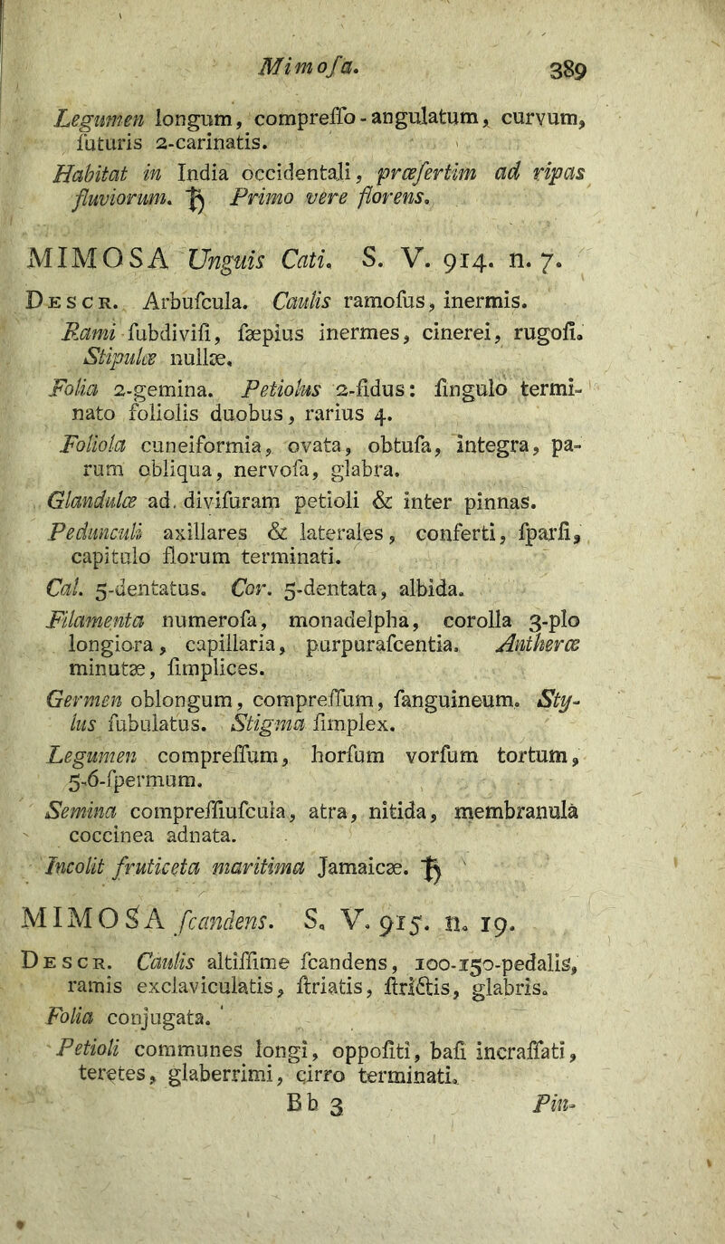 Legumen longum, comprefib-angulatum, curvum, futuris 2-carinatis. Habitat in ludia occidentali, prcefertim ad ripas fluviorum. ^ Primo vere florens. MIMOS A Unguis Cati, S. V. 914. n. 7. Descr. Arbufcula. Caulis ramofus, inermis. Rami-{\ubdivifi, fsepius inermes, cinerei, rugofi. Stipules nullae, Folia 2-gemina. Petiolus 2-fidus: fingulo termi- nato foliolis duobus, rarius 4. Foliola cuneiformia, ovata, obtufa, integra, pa- rum obliqua, nervofa, glabra. Glandulce ad. divifuram petioli & inter pinnas. Pedunculi axillares & laterales, conferti, fpar.fi, capitulo florum terminati. CaL 5-dentatus. Cor. 5-dentata, albida. Filamenta numerofa, monadelpha, corolla 3-pIo longiora, capillaria, purpurafcentia, Antherce minutae, fimplices. Germen oblongum, compreiTum, fanguineum, Sty- lus fabulatus. Stigma fimplex. Legumen comprefium, liorfum vorfum tortum, 5.6-fpermum. Semina compreffiufcuia, atra, nitida, membranula coccinea adnata. Incolit fruticeta maritima Jamaicae. fj 1 .. f/ •*' ' \ '' •* A' •■-*• ** v MIMOSA fcandens. S, V. 915. 19. Descr. Caulis altiffime fcandens, 100-150-pedalis, ramis exclaviculatis, firiatis, ftddtis, glabris. Folia conjugata. Petioli communes longi, oppofiti, bafi ineraffati, teretes, glaberrimi, cirro terminati.