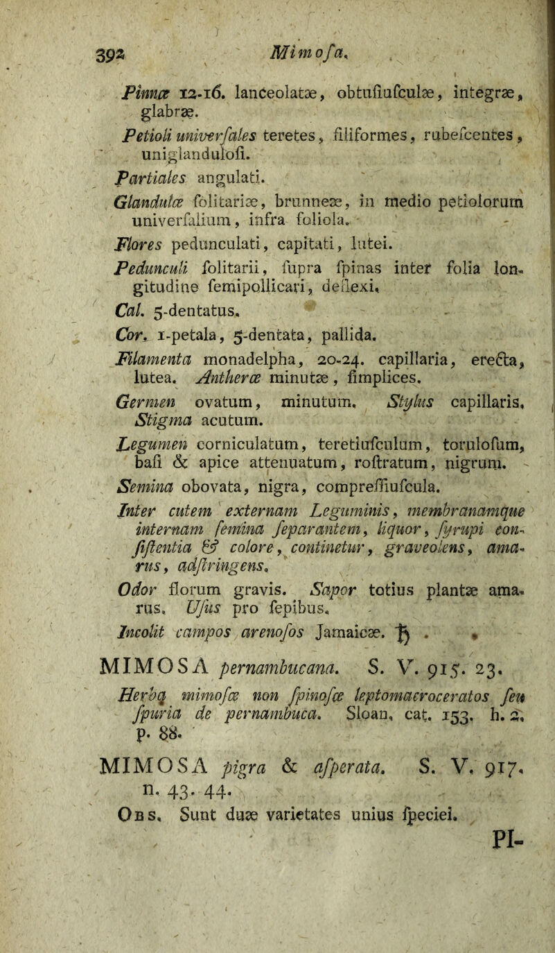' J ; - / ?'■ '• / . *V'f! 3 gz Mimofa, Pinnce 13-16. lanceolatae, obtufiufculae, integrae, glabrae. Petioli univerfales teretes, filiformes, rubefcentes , uniglandulofi. Partiales angulati. Glandutce folitariae, brunnese, in medio petiolorum univerfaiium, infra foliola. Flores pedunculati, capitati, lutei. Pedunculi folitarii, fupra fpinas inter folia Ion* gitudine femipollicari, deflexi, Cal. 5-dentatus. Cor. i-petala, 5-dentata, pallida. Filamenta monadelpha, 20-24. capillaria, ere&a, lutea. Antkerce minutae , fimplices. Germen ovatum, minutum. Stylus capillaris, Stigma acutum. Pe gumen corniculatum, tereti ufculum, torulofum, bafi & apice attenuatum, roftratum, nigrum. Semina obovata, nigra, compreffiufcula. Inter cutem externam Leguminis, membranamqne internam femina fep arant em, liquor, fyrupi con~ fiflentia & colore, continetur, graveolens, ama* rus, adflringens. Oior florum gravis. Sapor totius plantae ama* rus, Ufiis pro fepibus. Incolit campos arenofos Jamaicse. ^ , MIMOS A pernambucana. S. V. 915. 23, Herbq mimofce non fpinofce leptomacroceratos feu fpuria de pernambuca. Sloan, cat. 153. h. 2; P- 88. MIMOS A pigra & afperata. S. VY 917. n. 43. 44/ Obs, Sunt duae varietates unius ipeciei. pi-