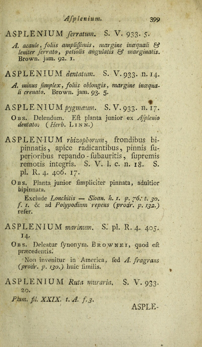 3 99 Afp lenium. AS PLE NIUM ferratum. S. V. 933. 5. A. acaule, foliis cmpliffimis, margine incequali & leniter ferrato , petiolis angulatis 8? marginatis. Brown. jam. 92. 1. ASPLENIUM dentatum. S. V.933. n. 14. A. minus fimplex, foliis oblongis, margine inaequa- li crenato. Brown. jam. 93. 5. ASPLENIUMpygmaeum. S. V. 933. n. 17. Obs. Delendam. Eft planta junior ex Afplenio dentato. ( fferb. L1 n n.) ASPLENIUM rbizophorum, frondibus bi- pinnatis 5 apice radicantibus 9 pinnis fu- perioribus repando - fubauritis, fupremis remotis integris. S. V. 1. c, n. 18. S. pl. R. 4, 406. 17. Obs. Planta junior Ixmpliciter pinnata, ^dultior bipinnata. Exclude Lonchitis — Sloan. h. 1. p. p6: t. yo. /. 1. & ad Polypodium repens (prodr. p. jj.2.9 refer. ASPLENIUM marinum. S. pl. R. 4. 405* 14. Obs. Deleatur fynonym. Brown ei, quod eft praecedentis.' Non invenitur in America, fed A. fragrans (prodr. p. 130.) huic limilis. ASPLENIUM Ruta muraria. S. V. 933. 20. Pium. fd. XXIX. t. A. f.3.